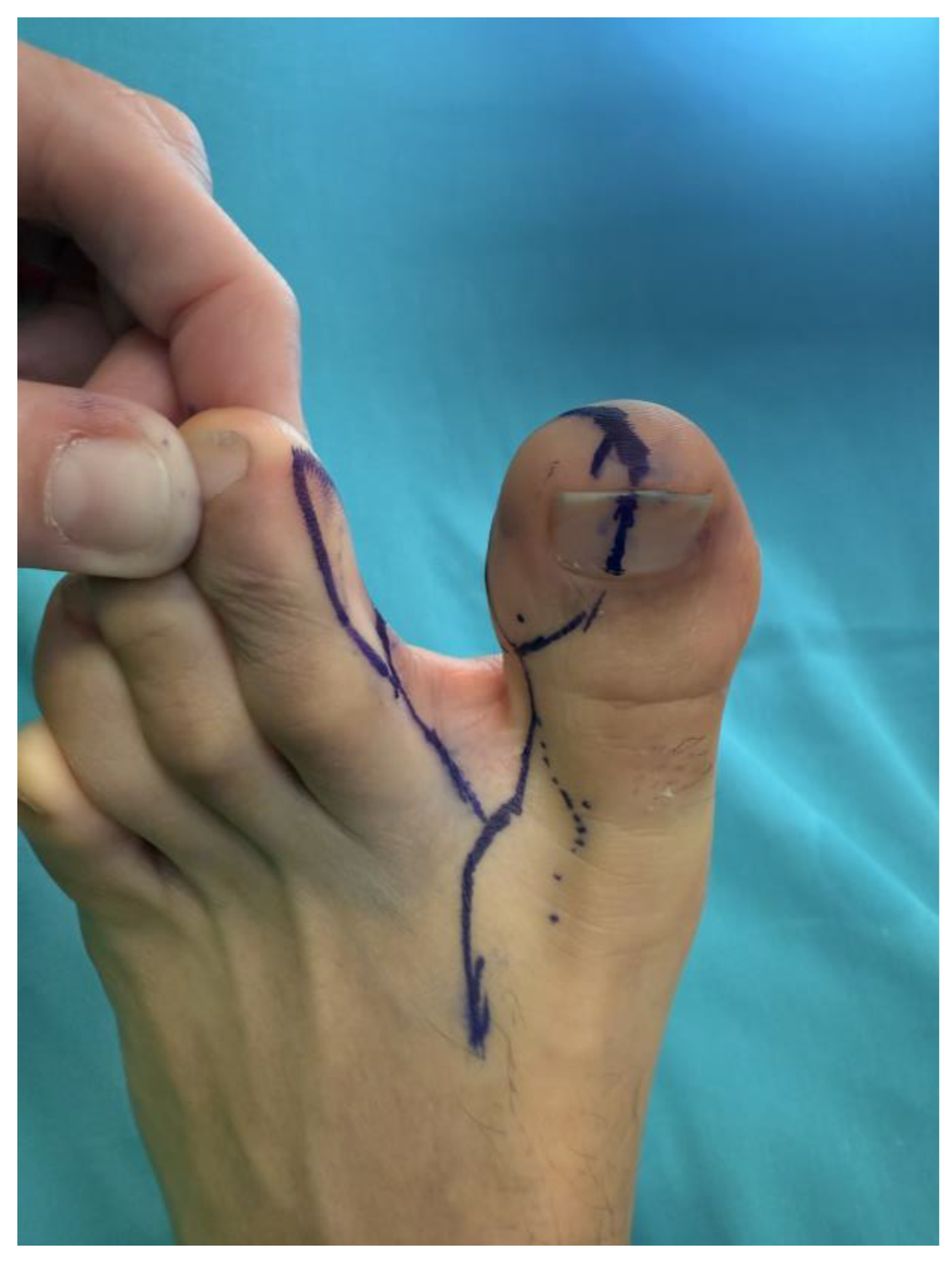 Preprints 192382 g010