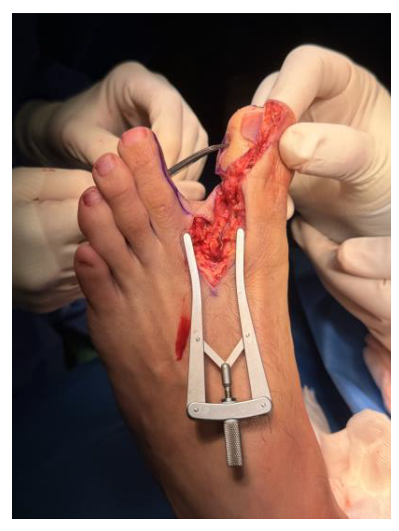 Preprints 192382 g011