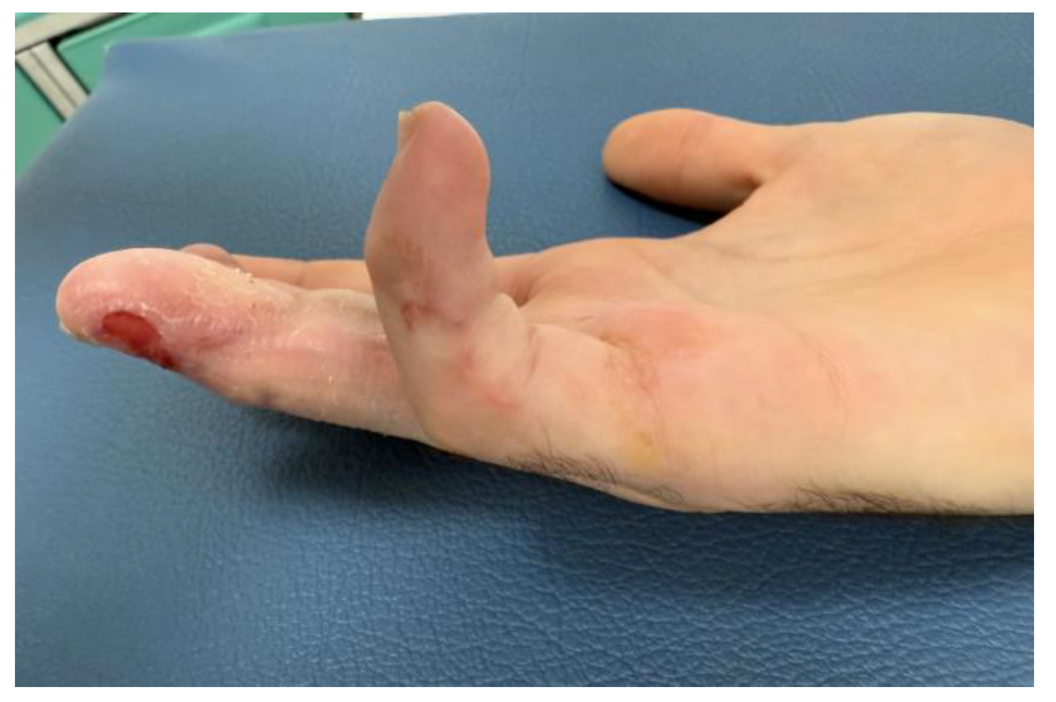 Preprints 192382 g013