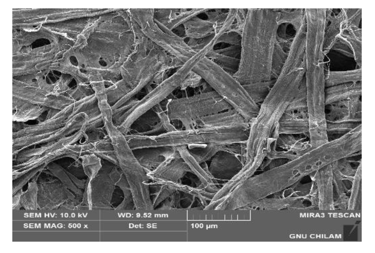 Preprints 113924 g003