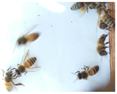 Preprints 199408 i001