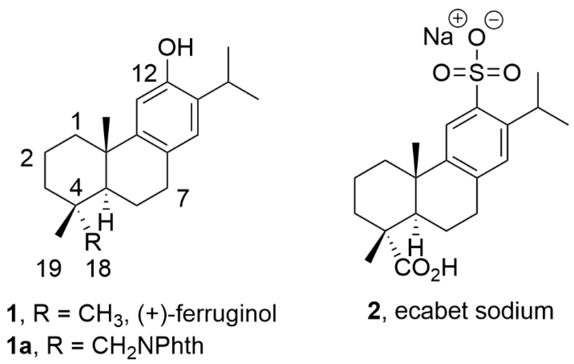 Preprints 87499 g001