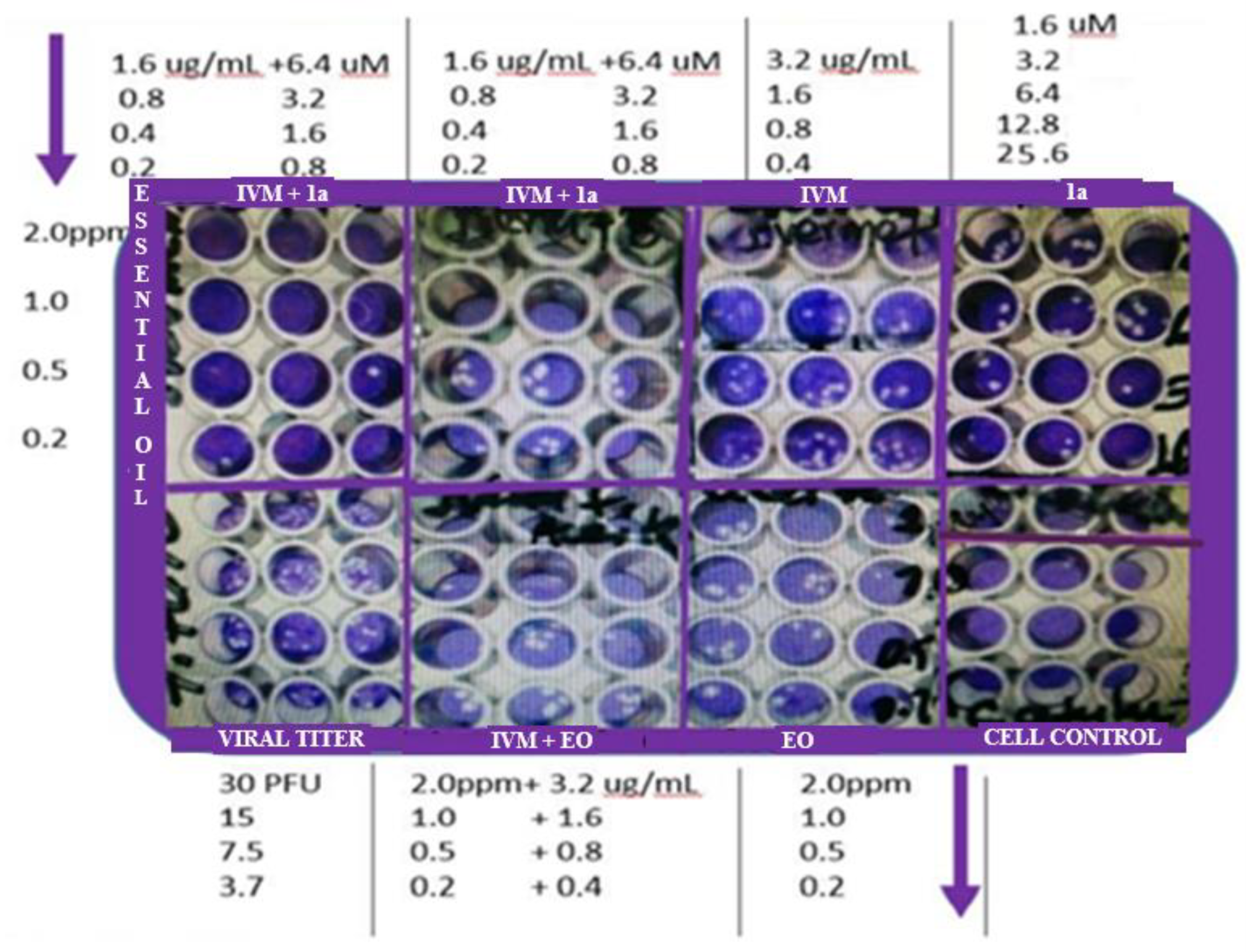 Preprints 87499 g002