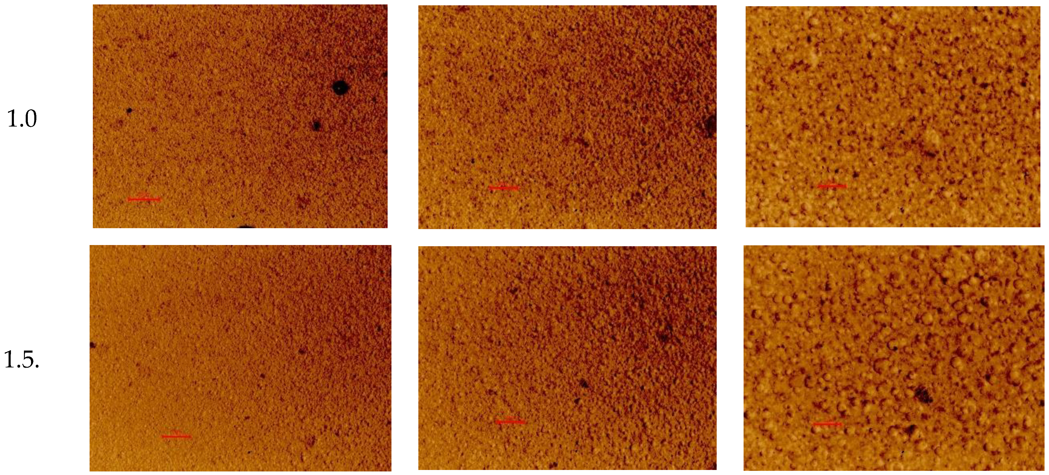 Preprints 150761 g001b