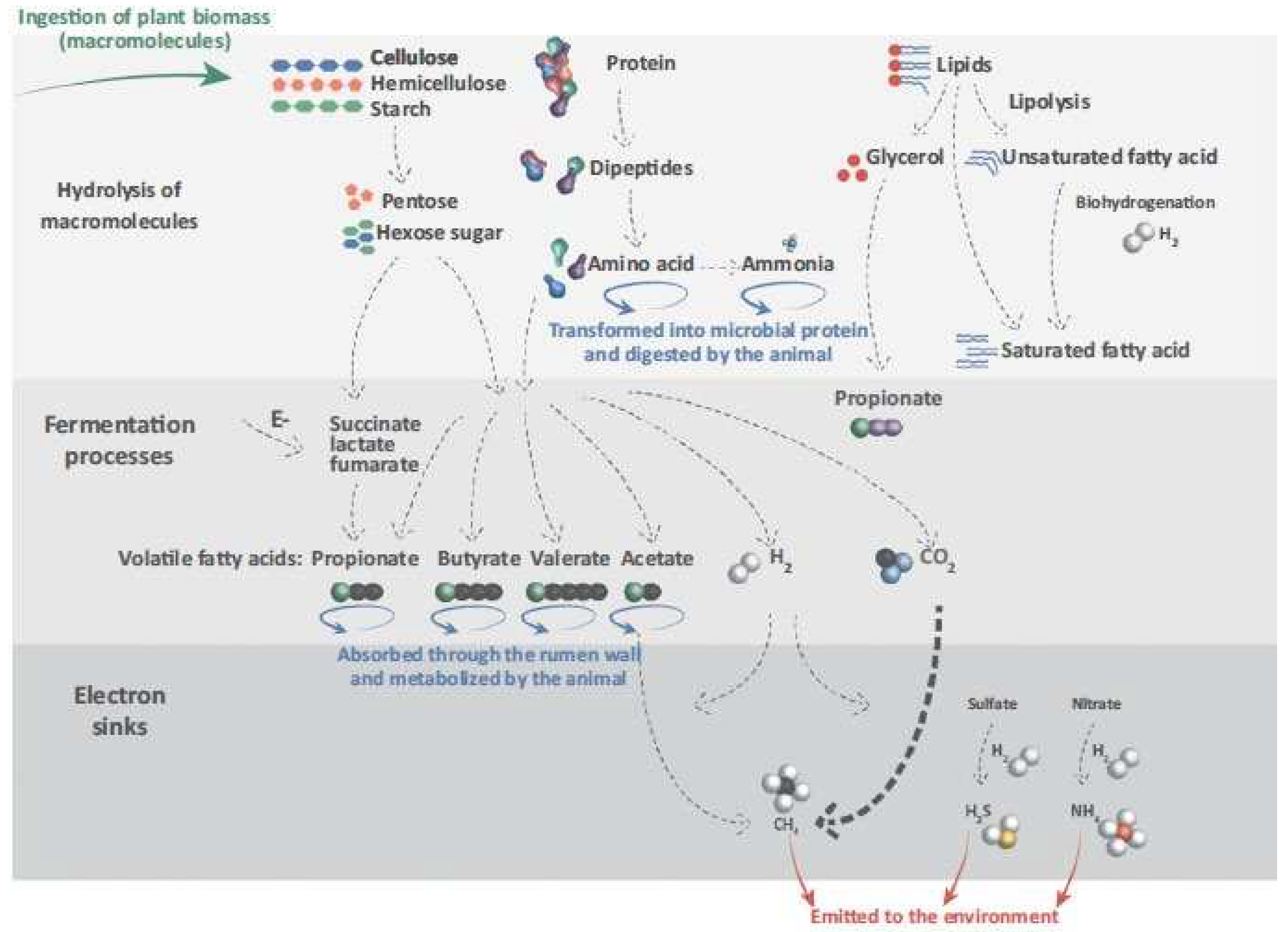 Preprints 95166 g001