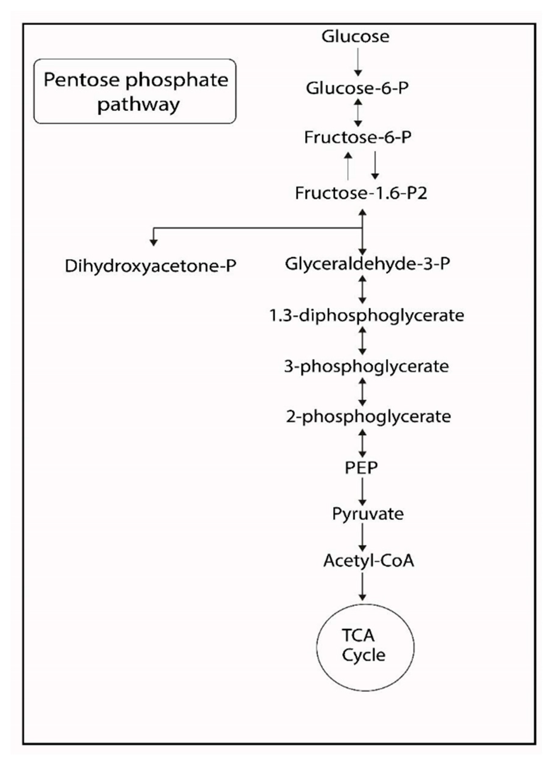 Preprints 177527 g001