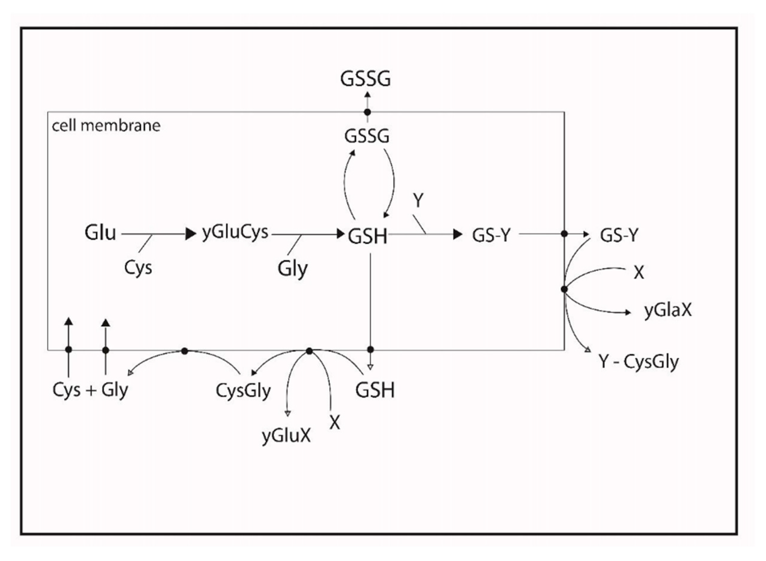 Preprints 177527 g003