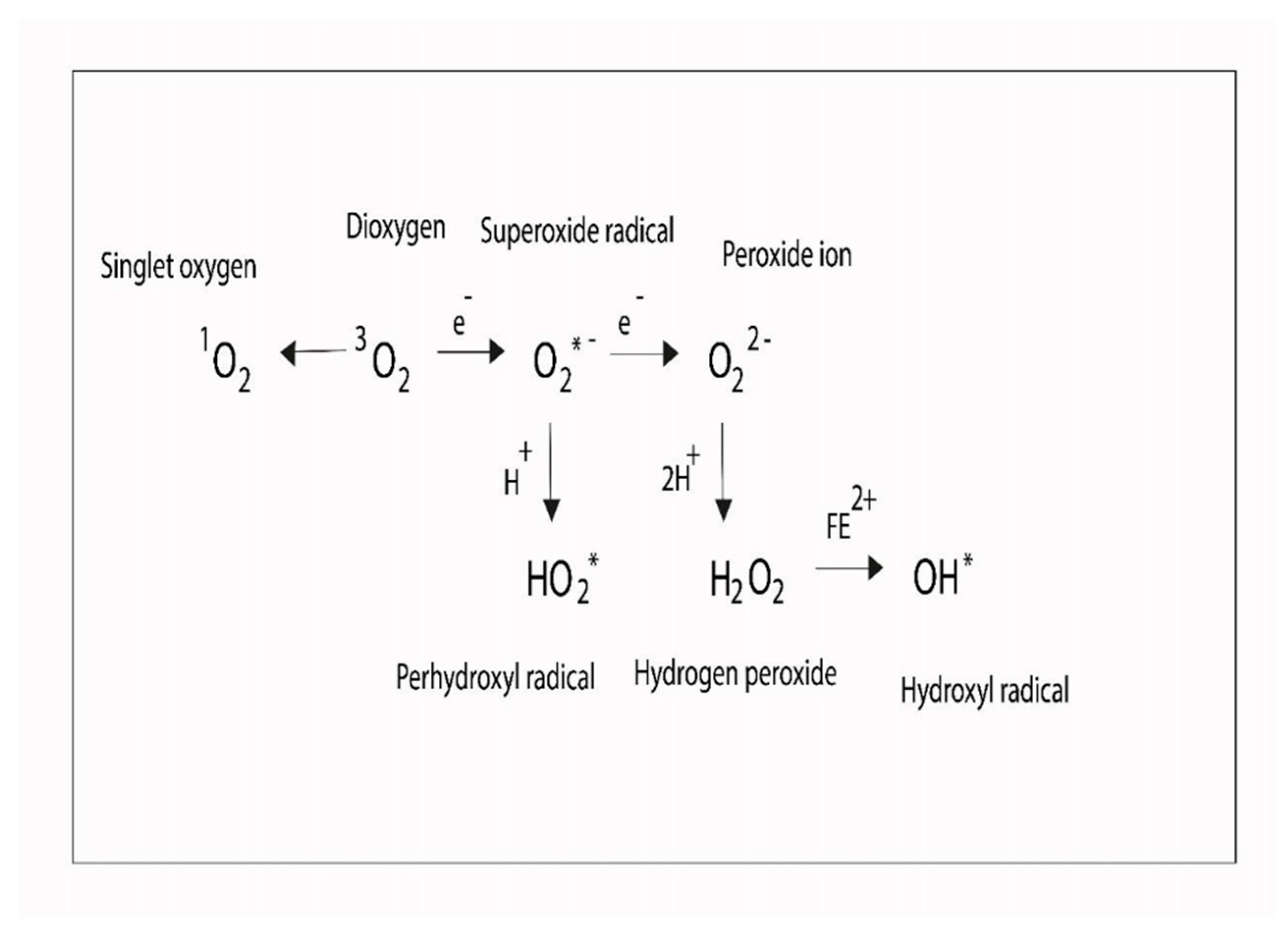 Preprints 177527 g005