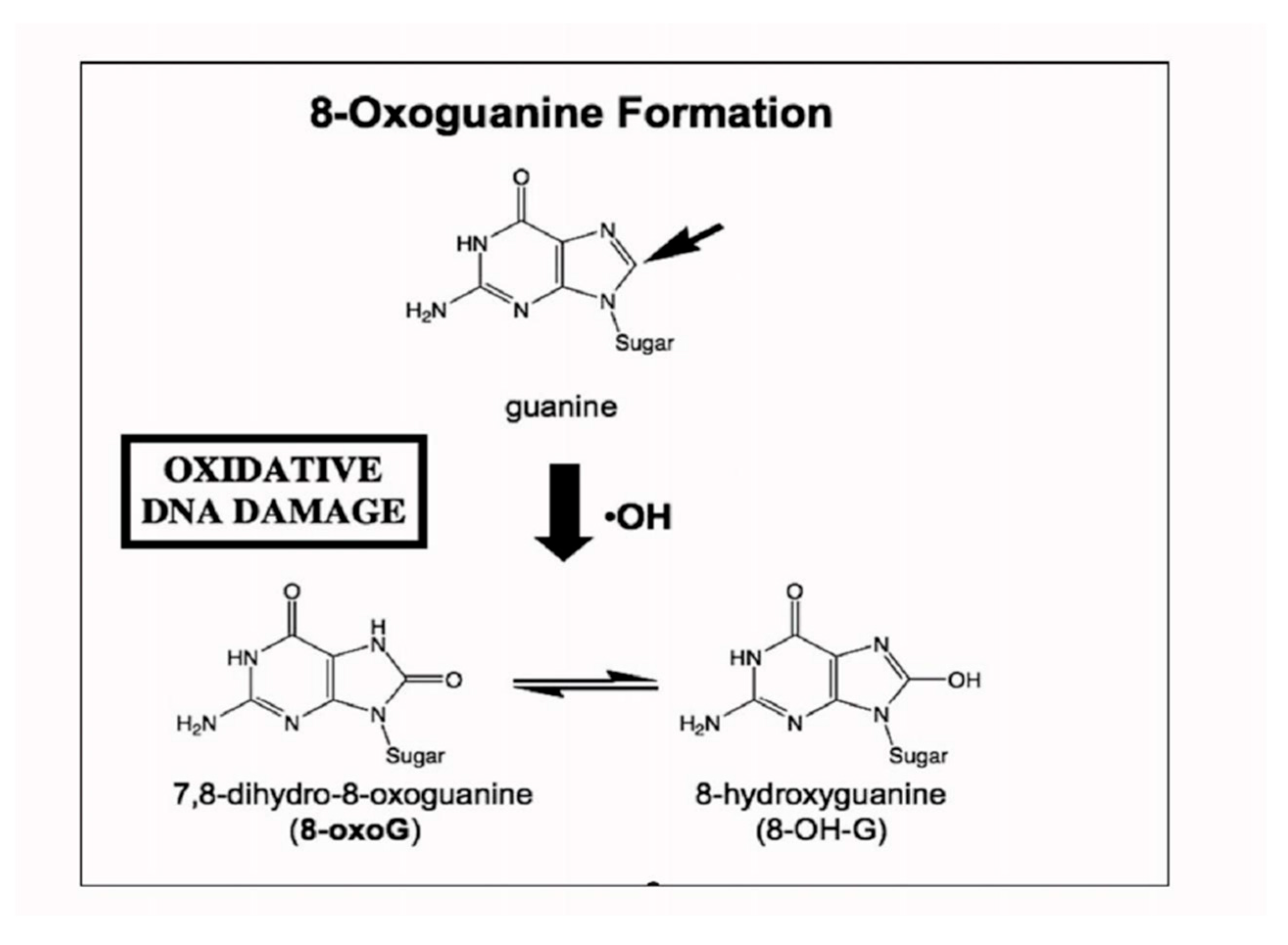 Preprints 177527 g006