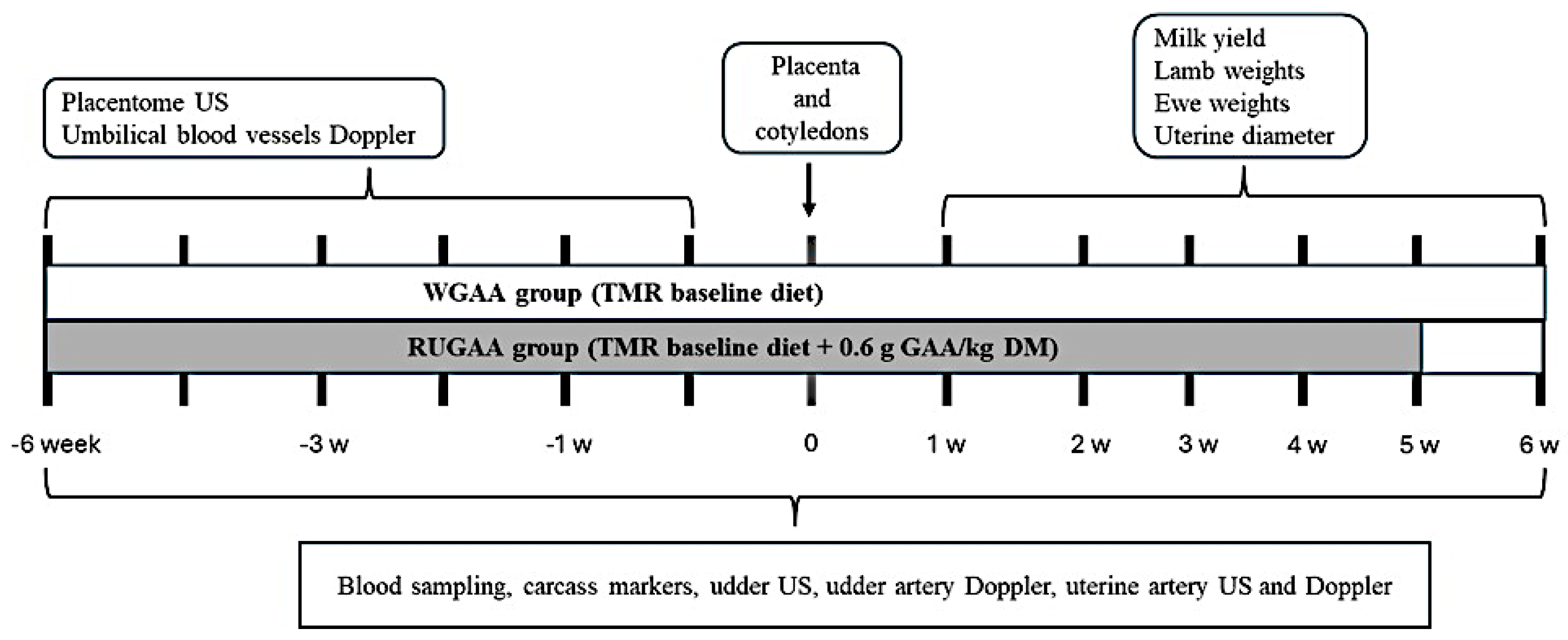 Preprints 186583 g001