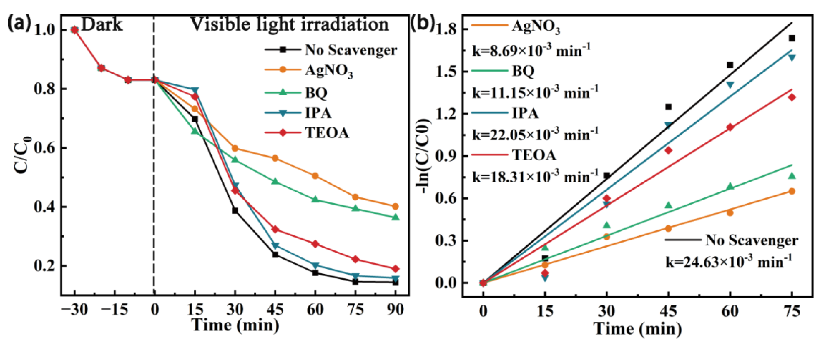 Preprints 85480 g006