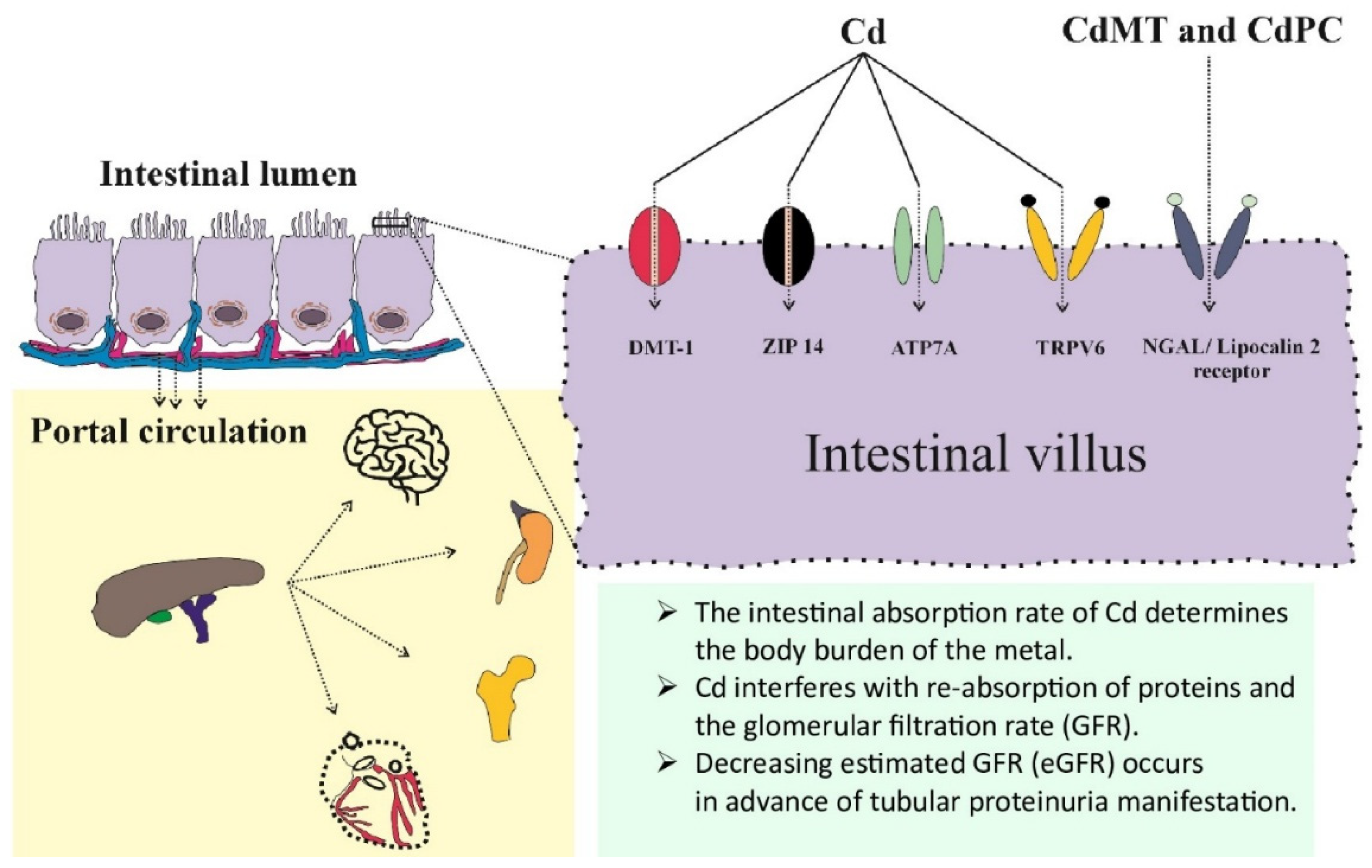 Preprints 155348 g001