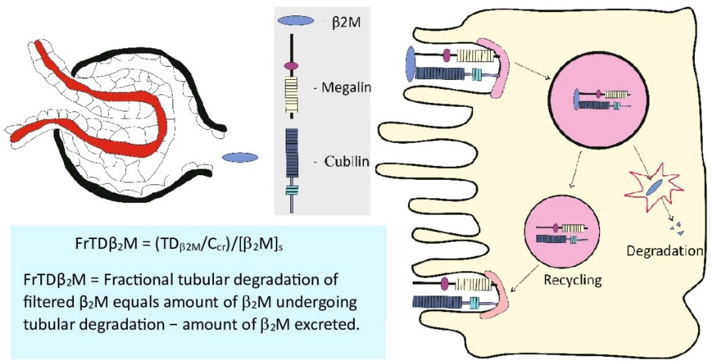 Preprints 155348 g002