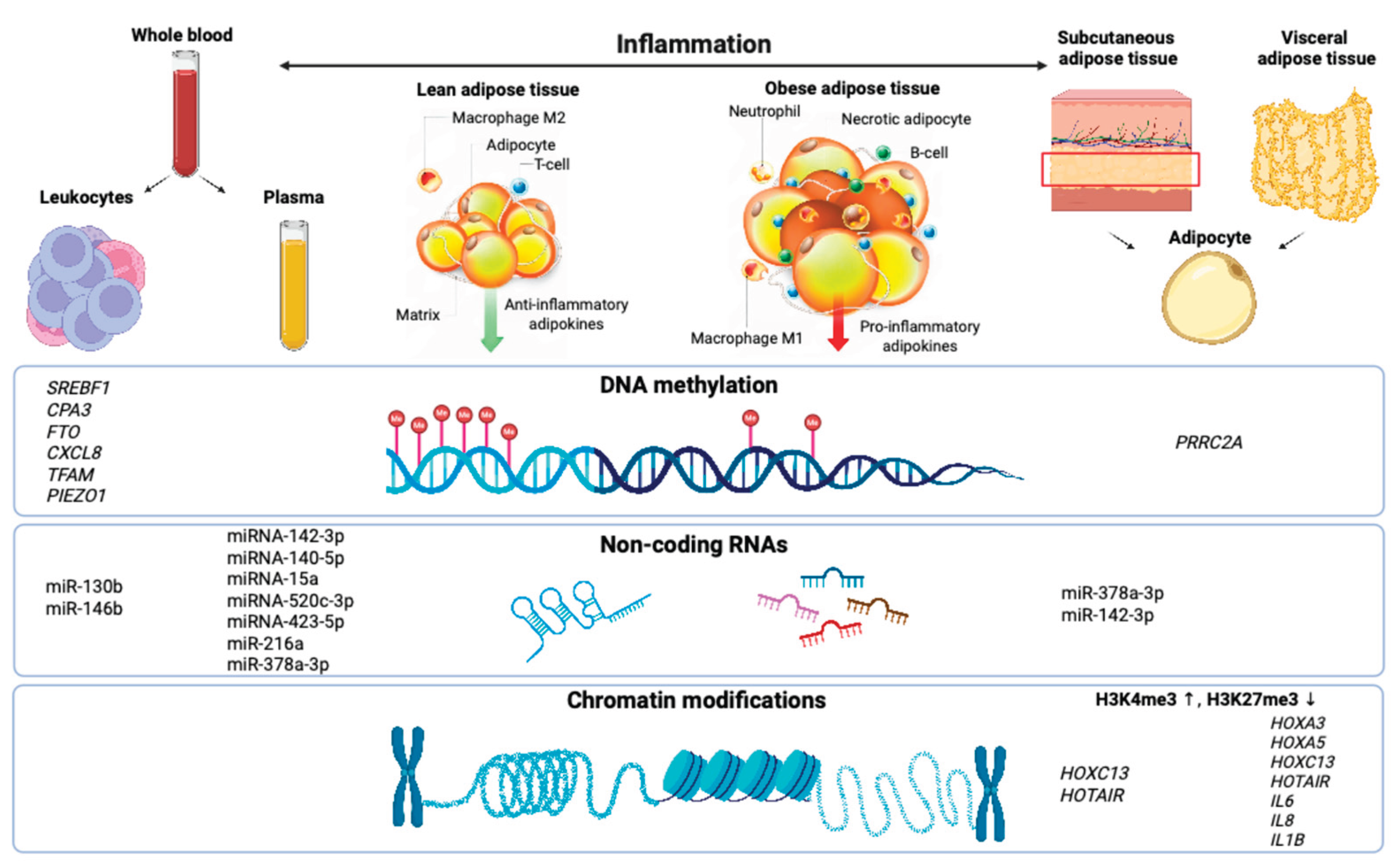 Preprints 171504 g001