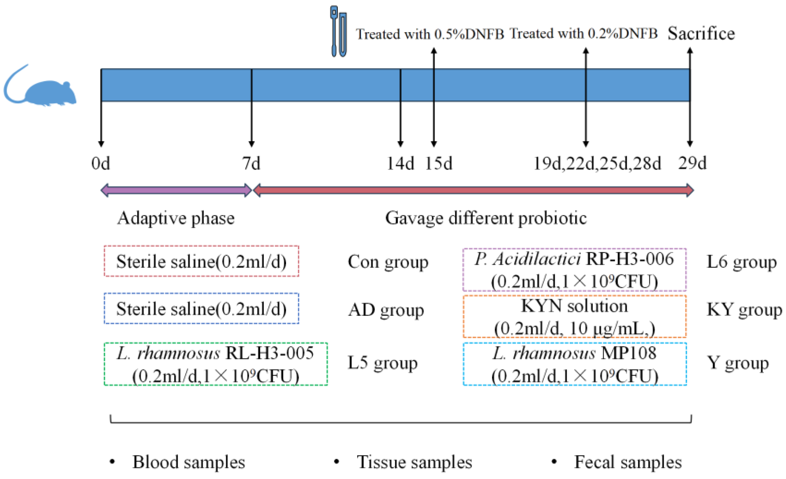 Preprints 156380 g001