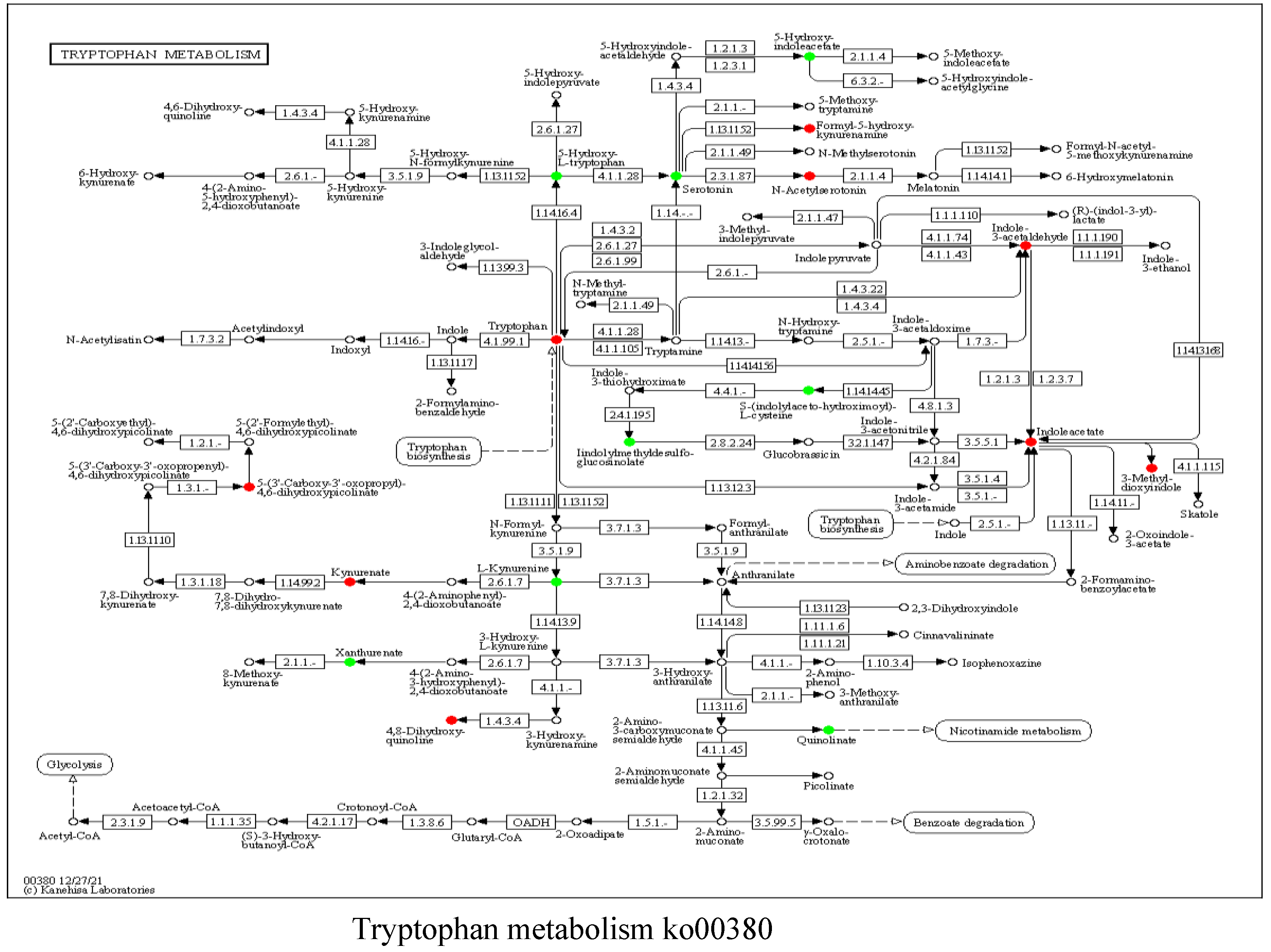 Preprints 156380 g003