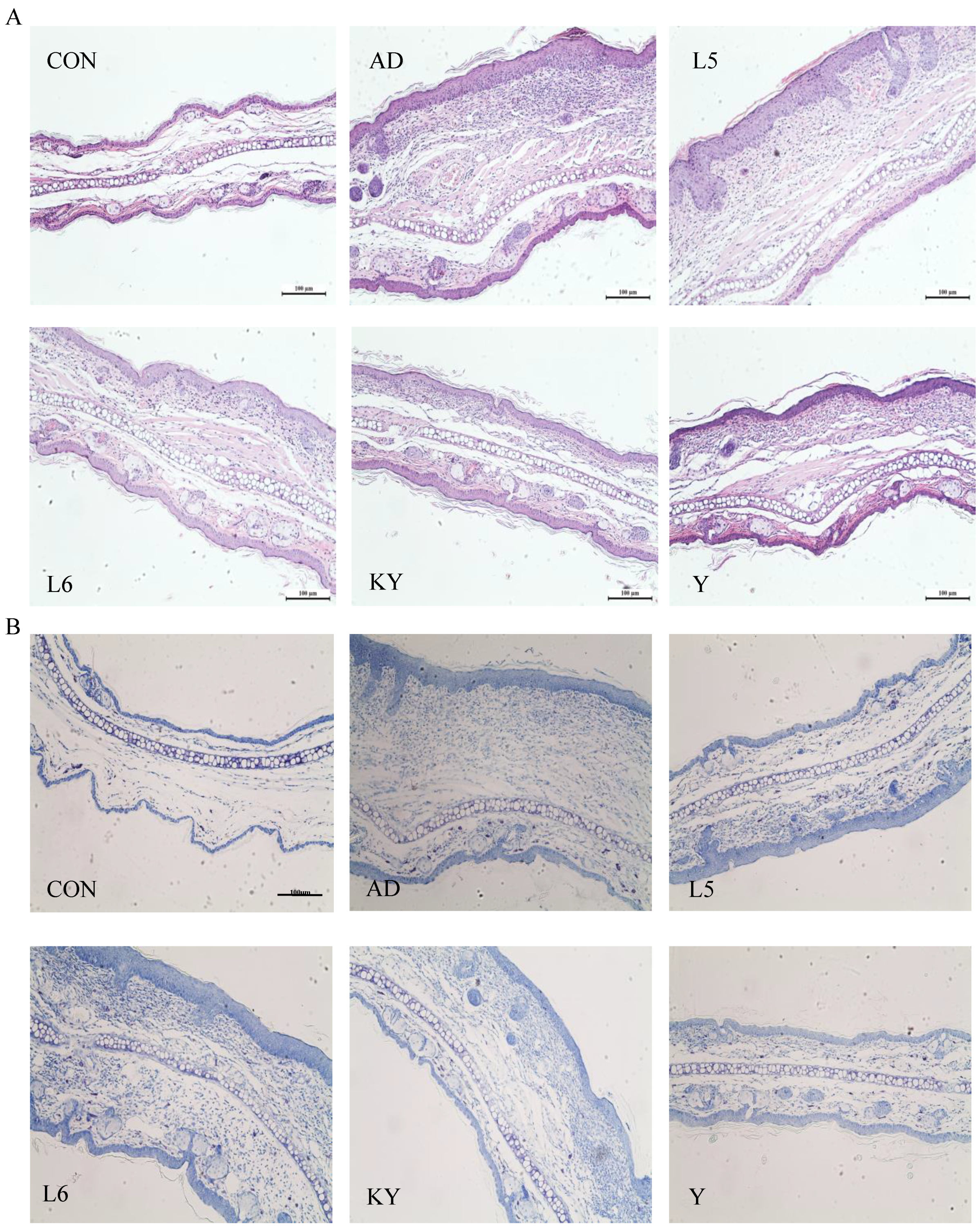 Preprints 156380 g006