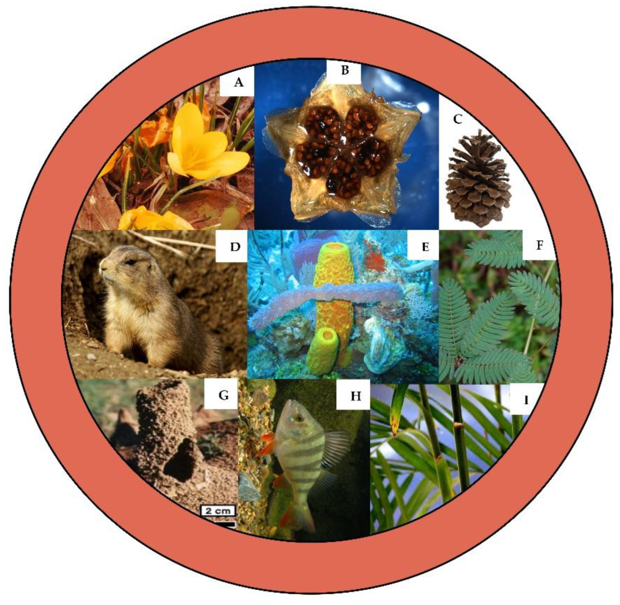 Preprints 179032 g001