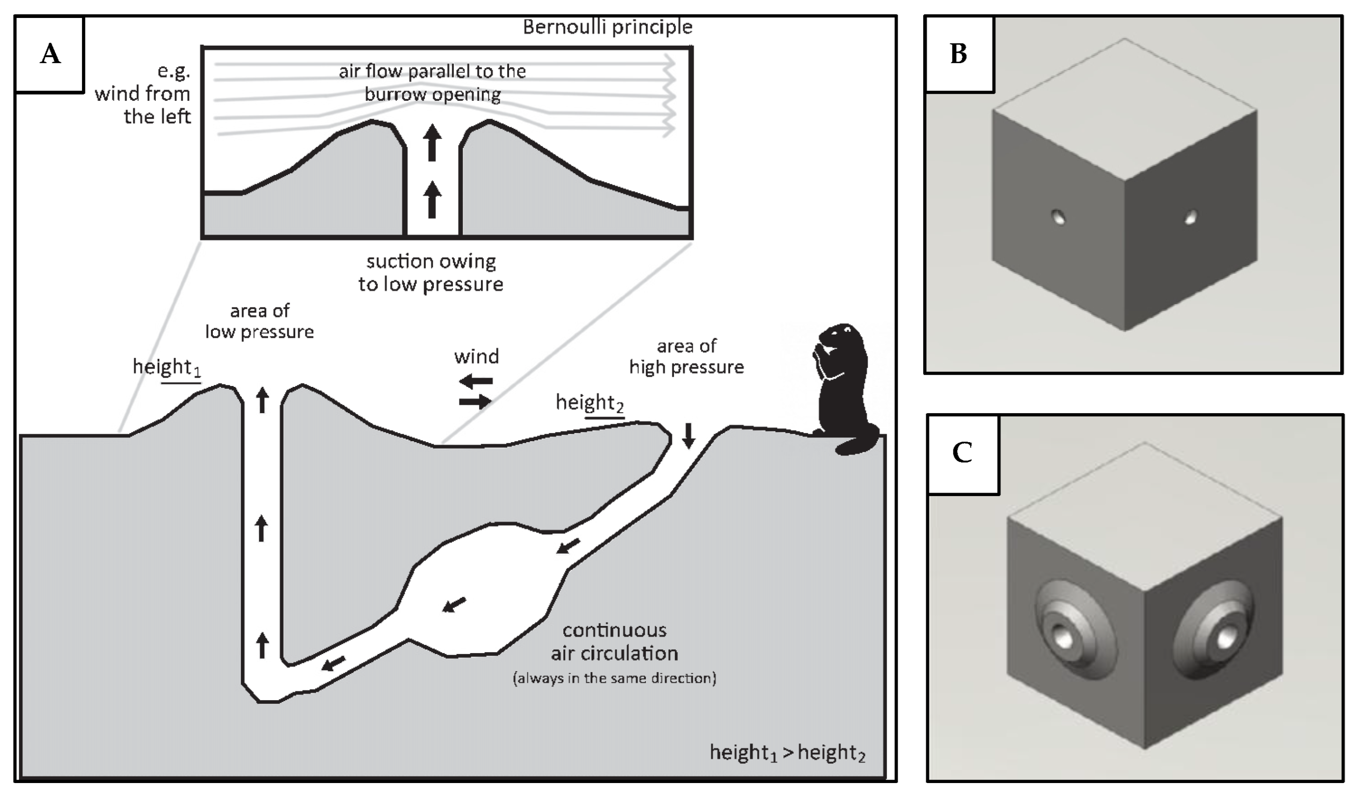 Preprints 179032 g012
