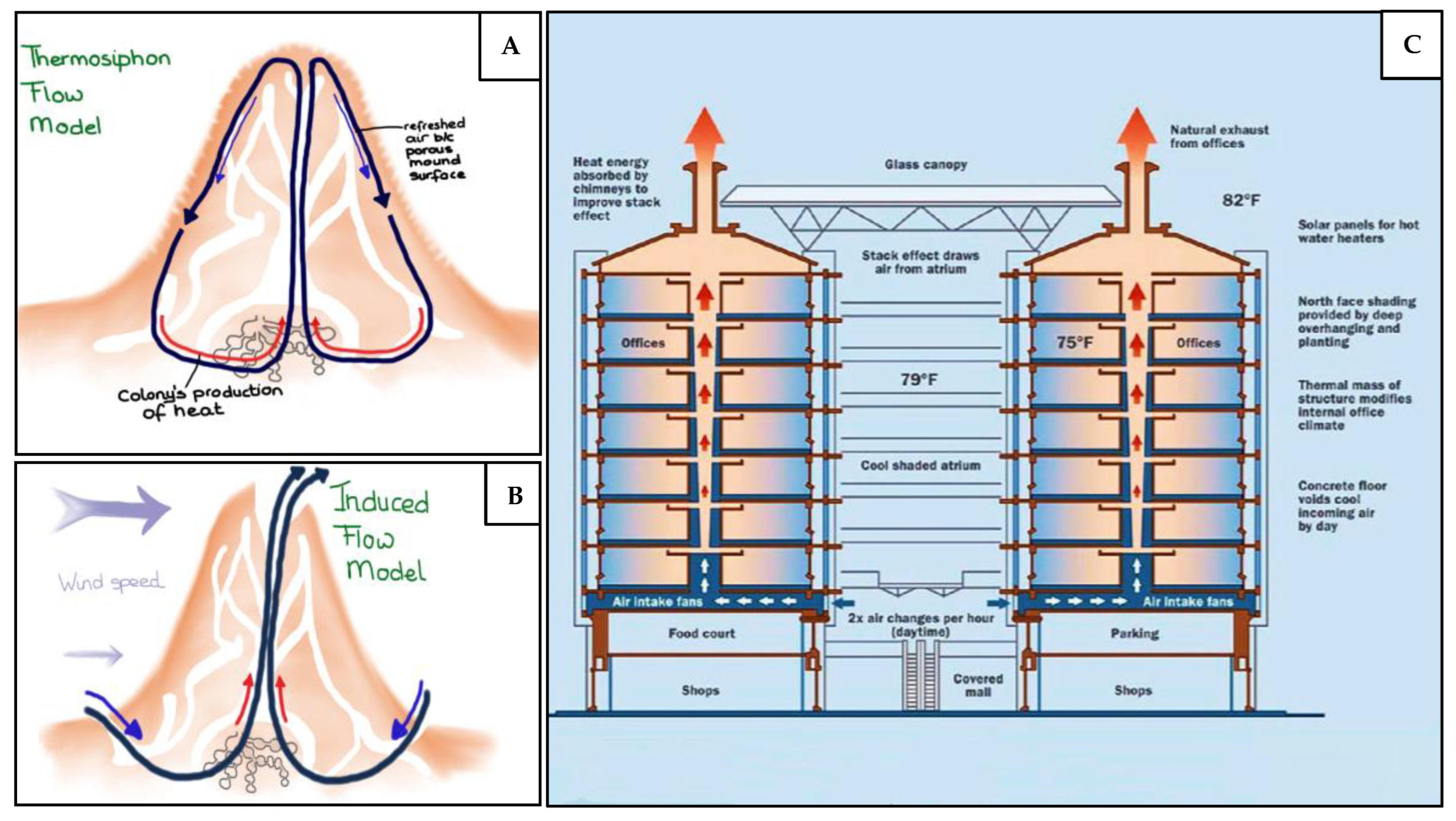 Preprints 179032 g015
