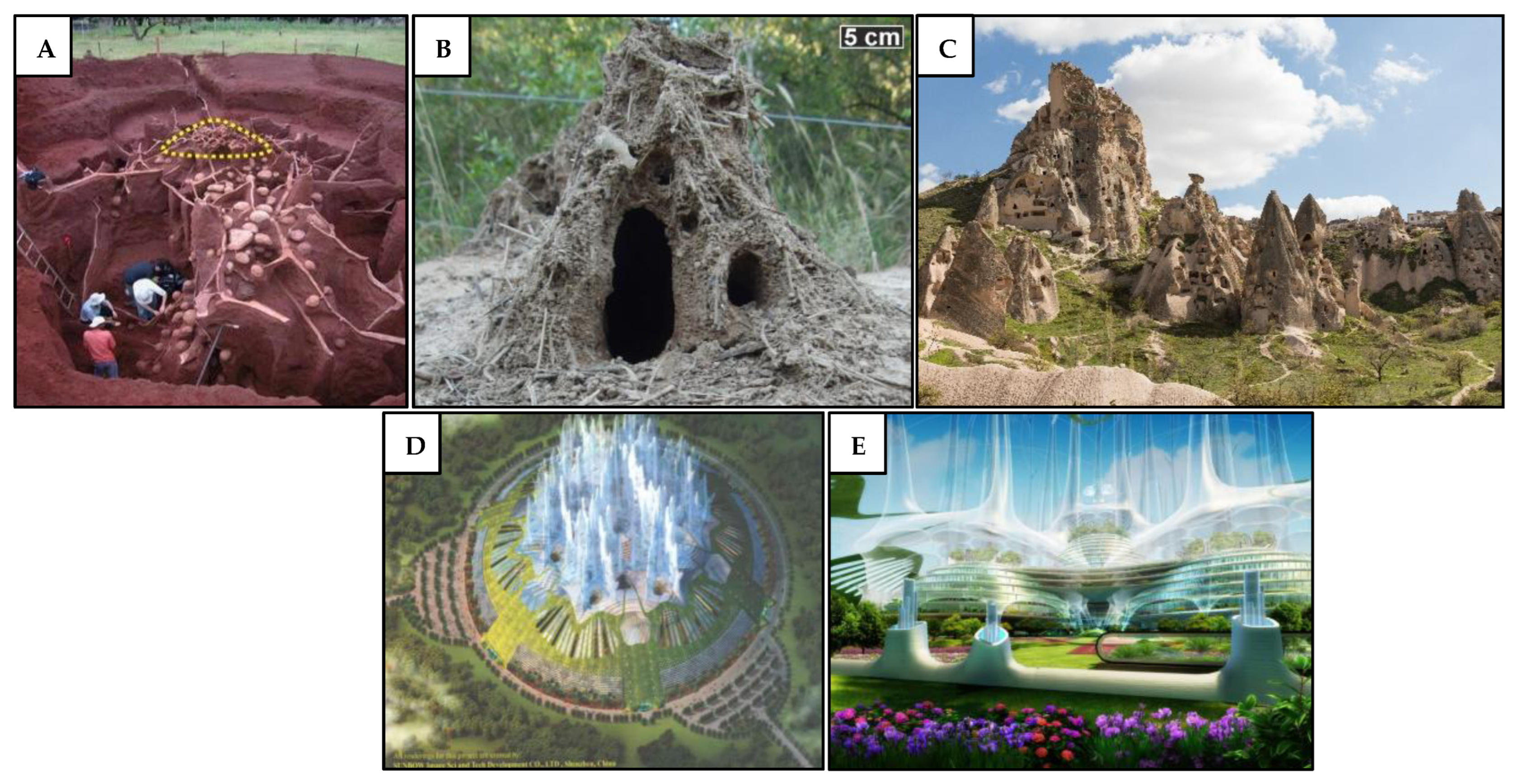 Preprints 179032 g017