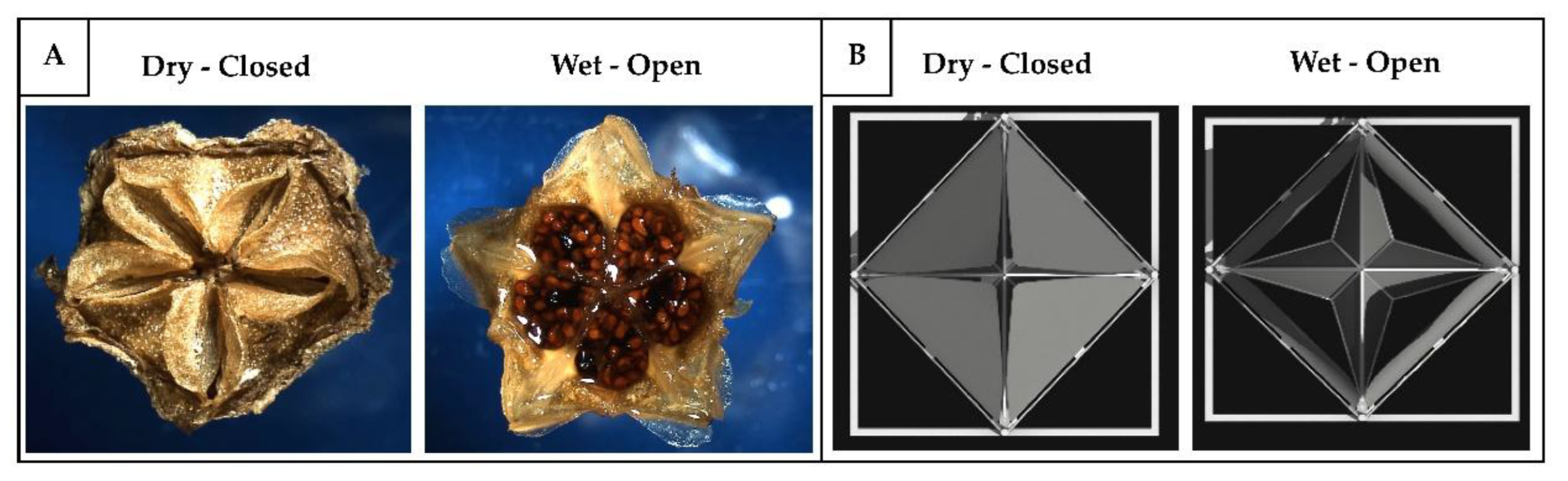 Preprints 179032 g027