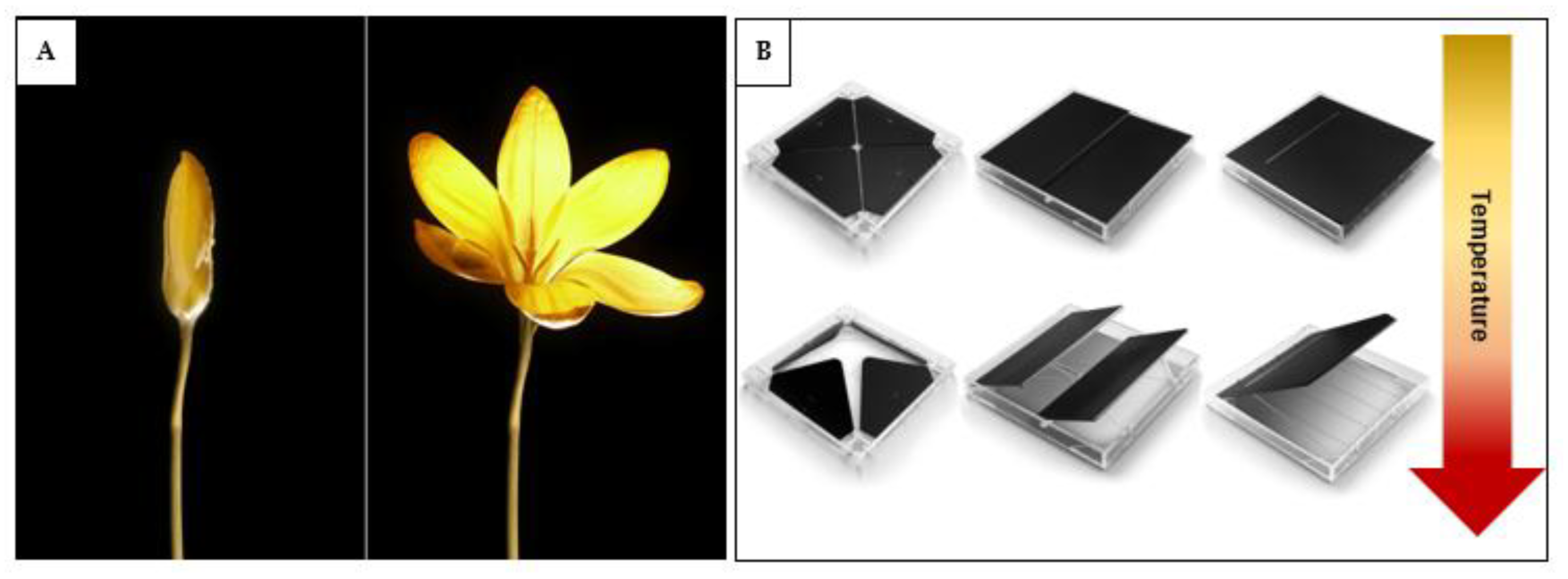 Preprints 179032 g030