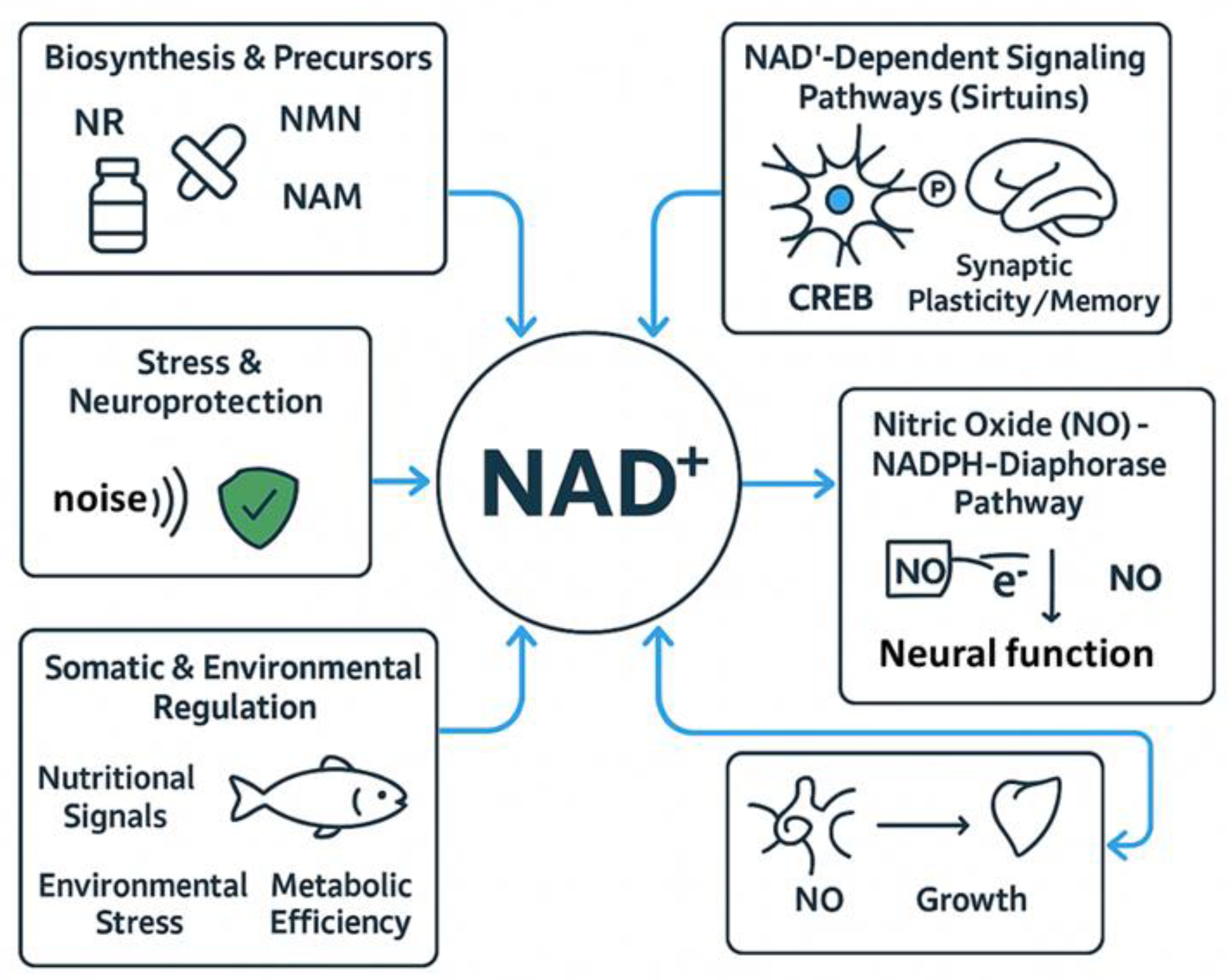 Preprints 185810 g001