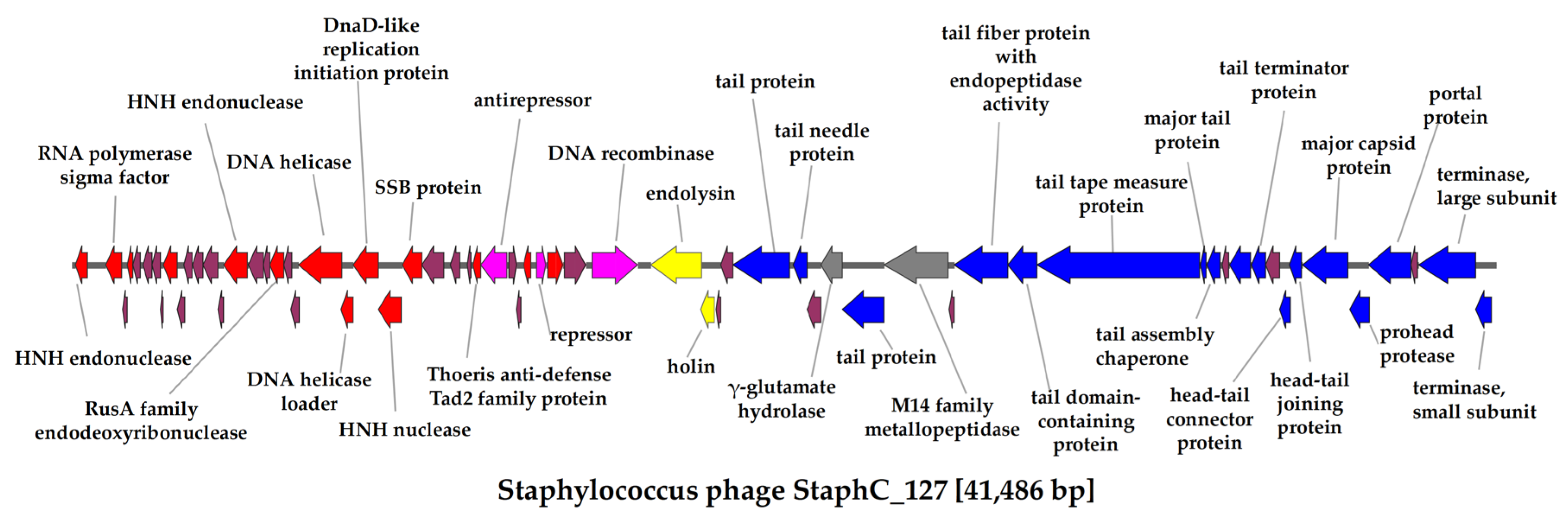 Preprints 189232 g003