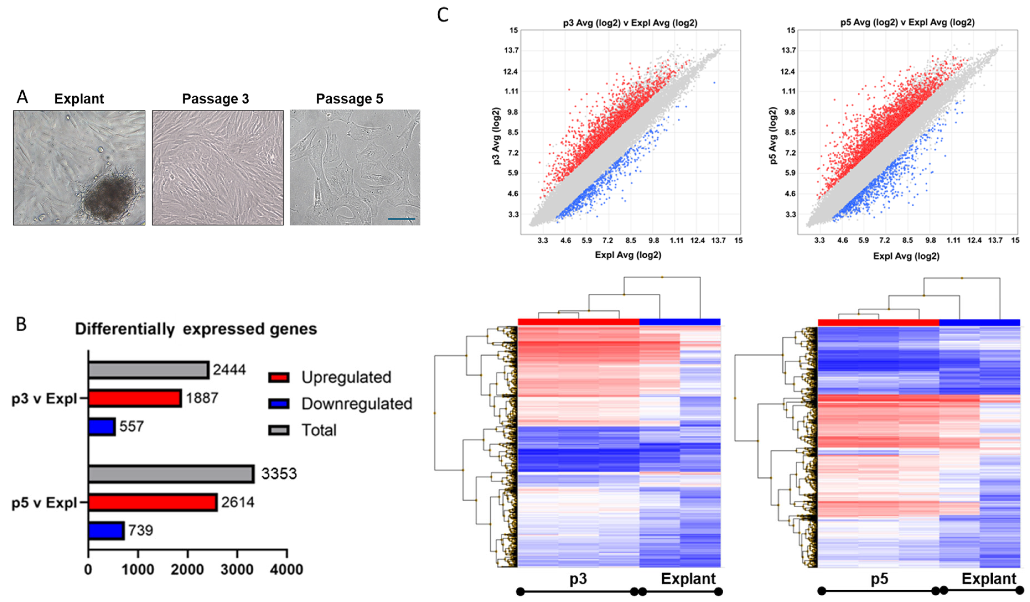 Preprints 190935 g001