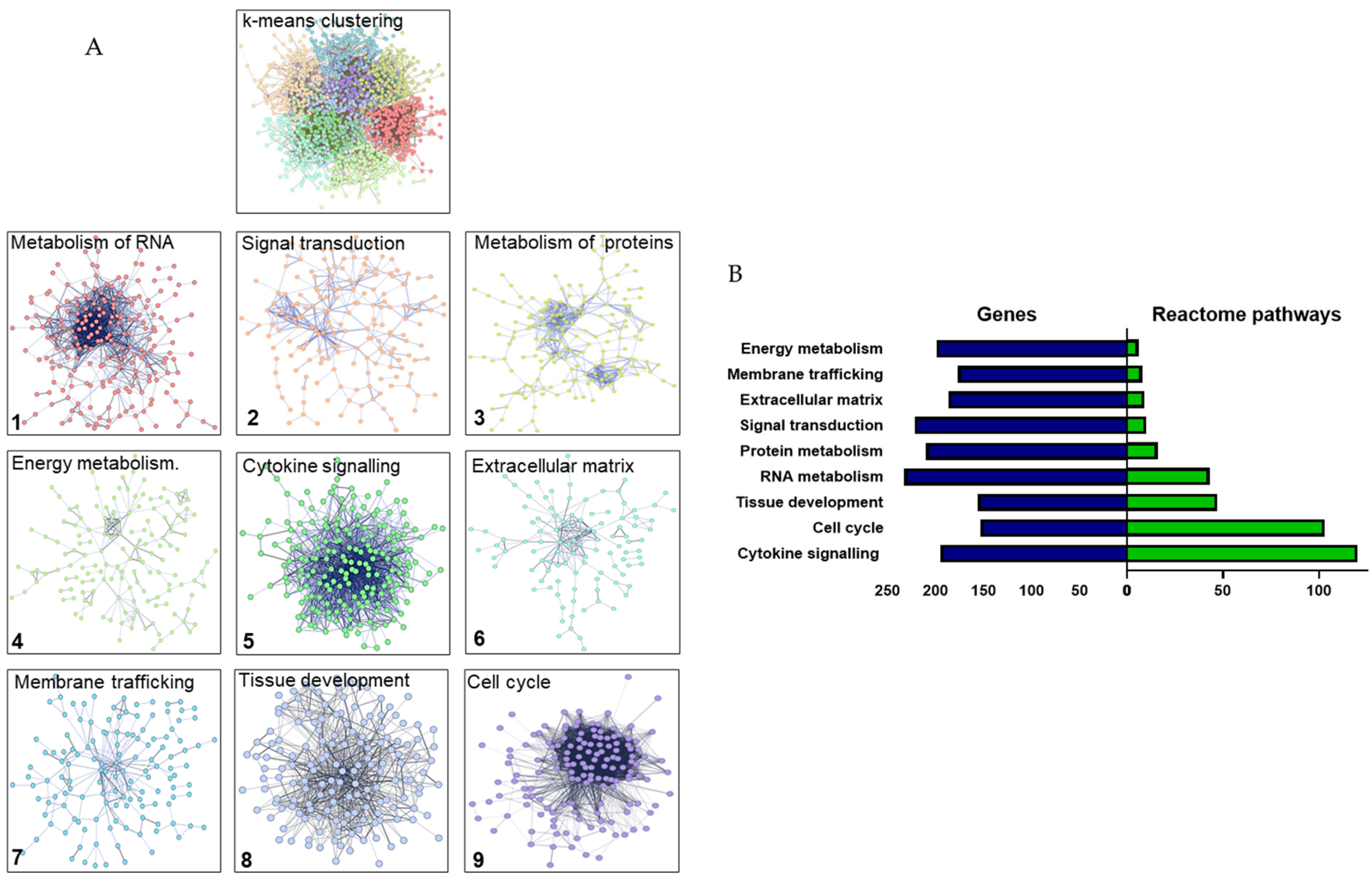 Preprints 190935 g002