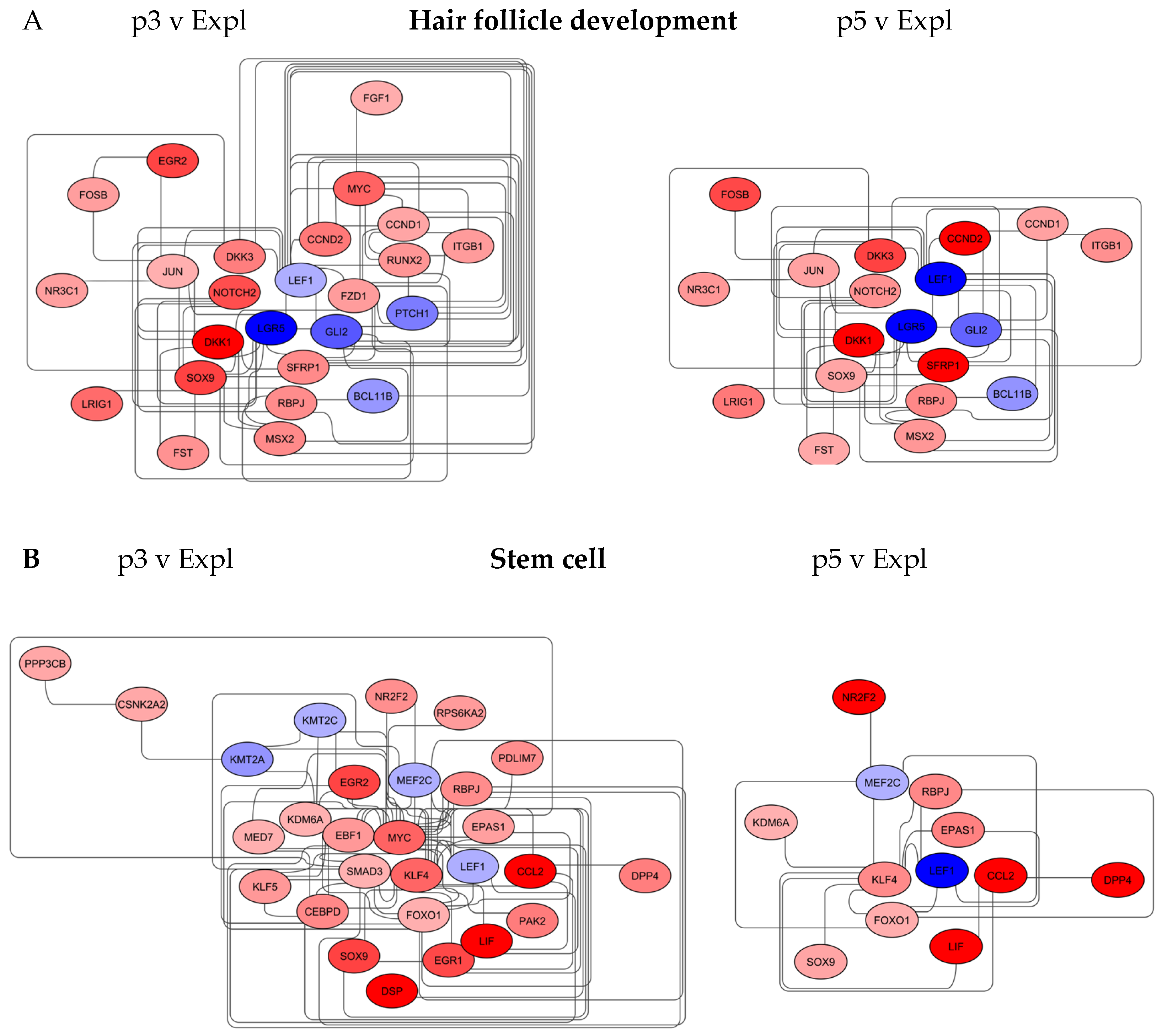 Preprints 190935 g004