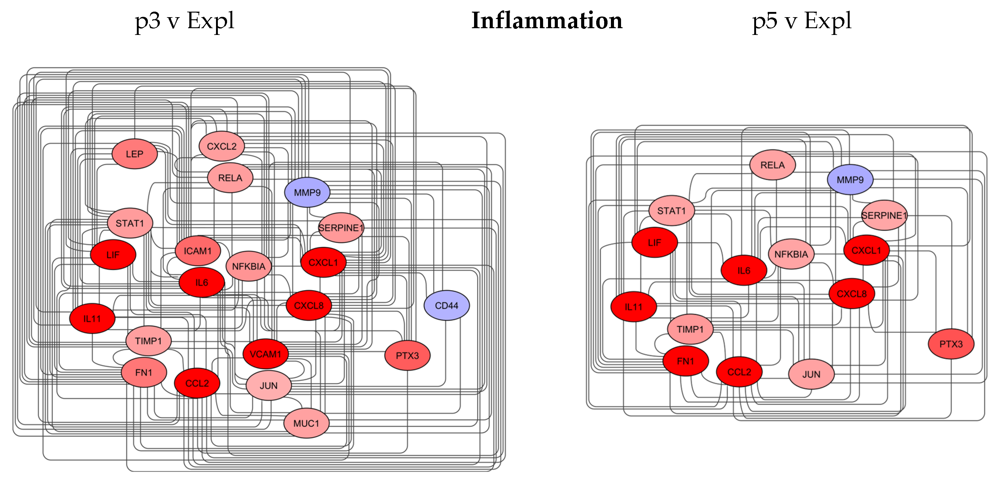 Preprints 190935 g005