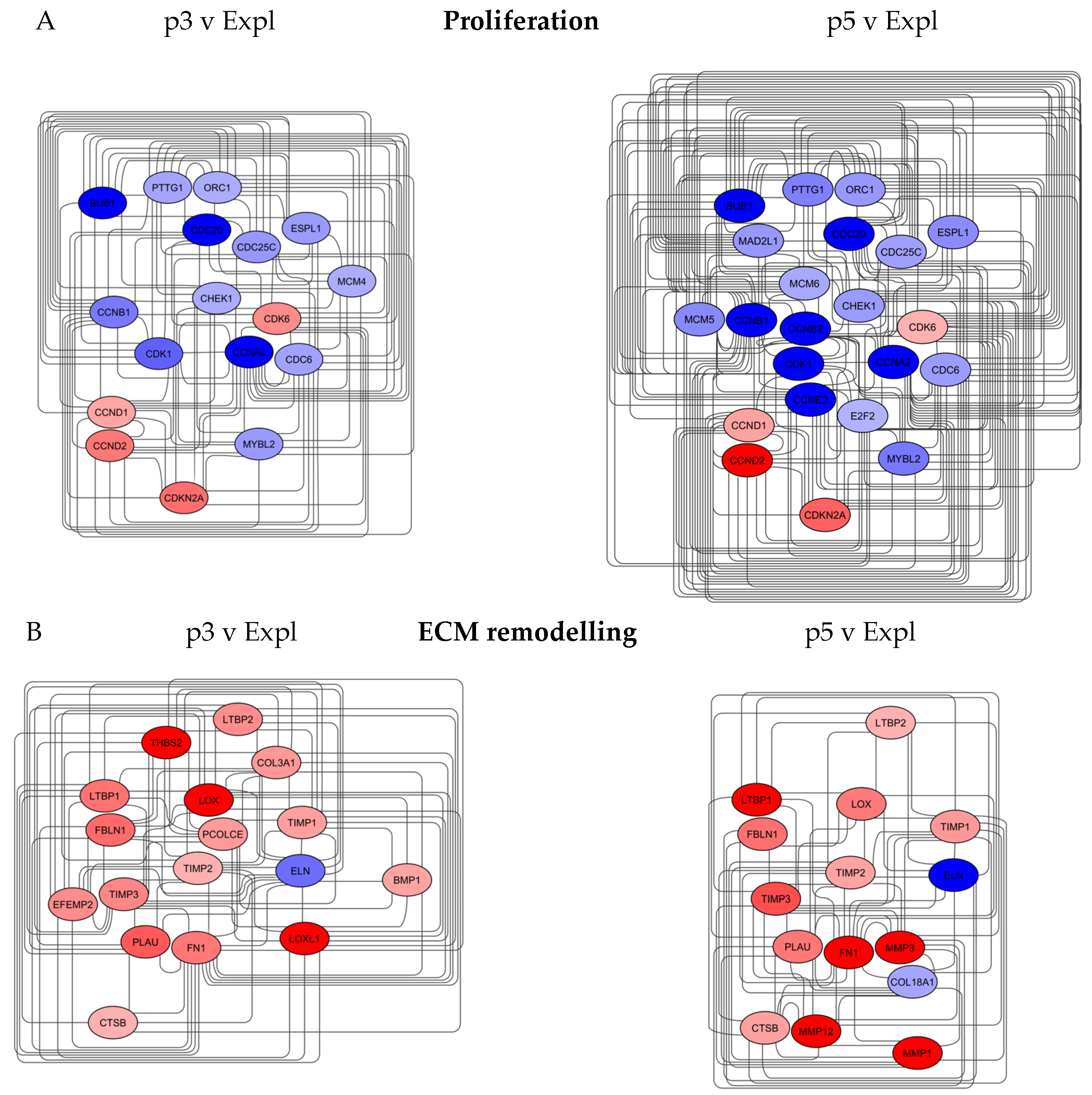 Preprints 190935 g006