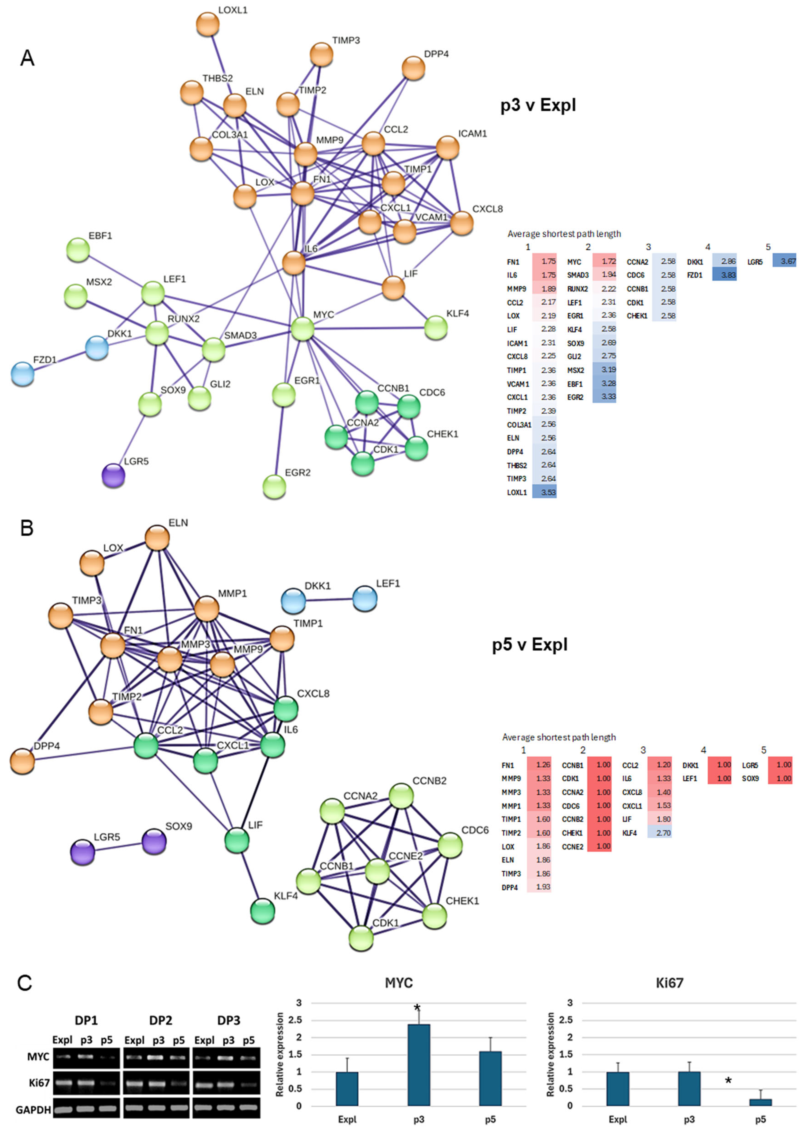 Preprints 190935 g007