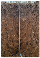 Preprints 189468 i001