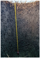 Preprints 189468 i002