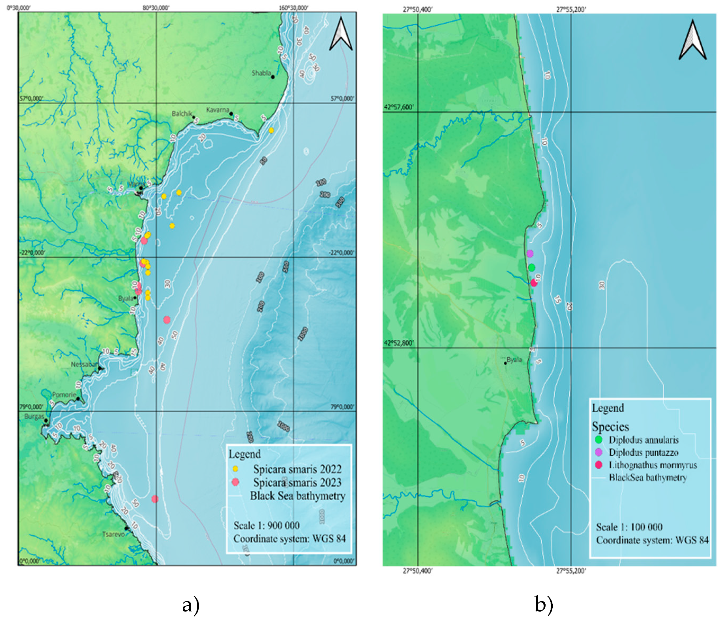 Preprints 105285 g001