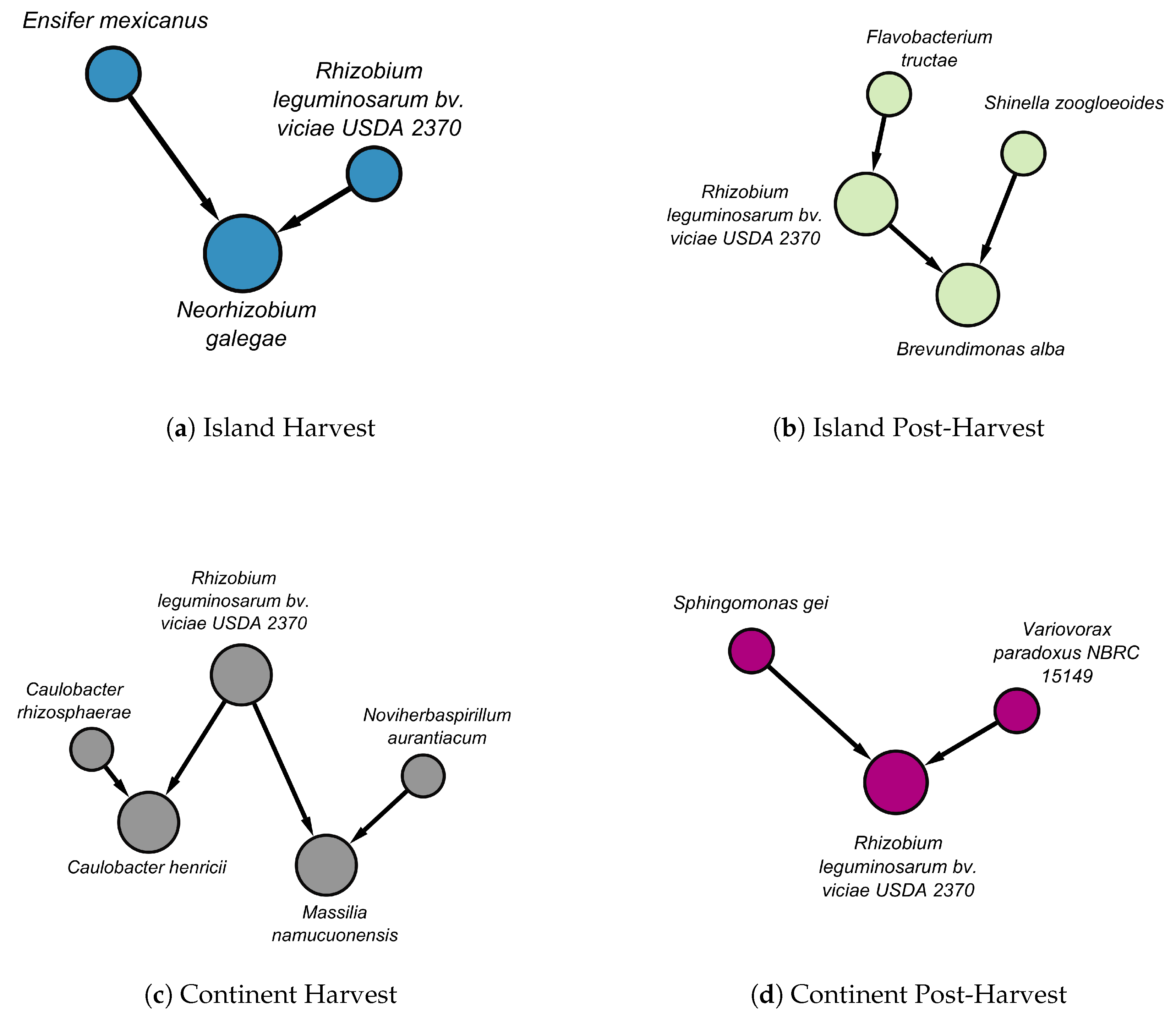Preprints 152156 g005