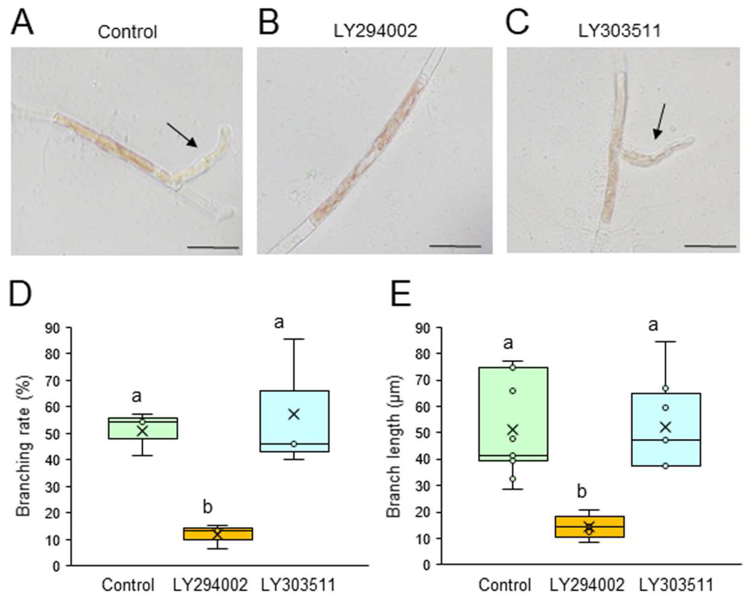 Preprints 155175 g001