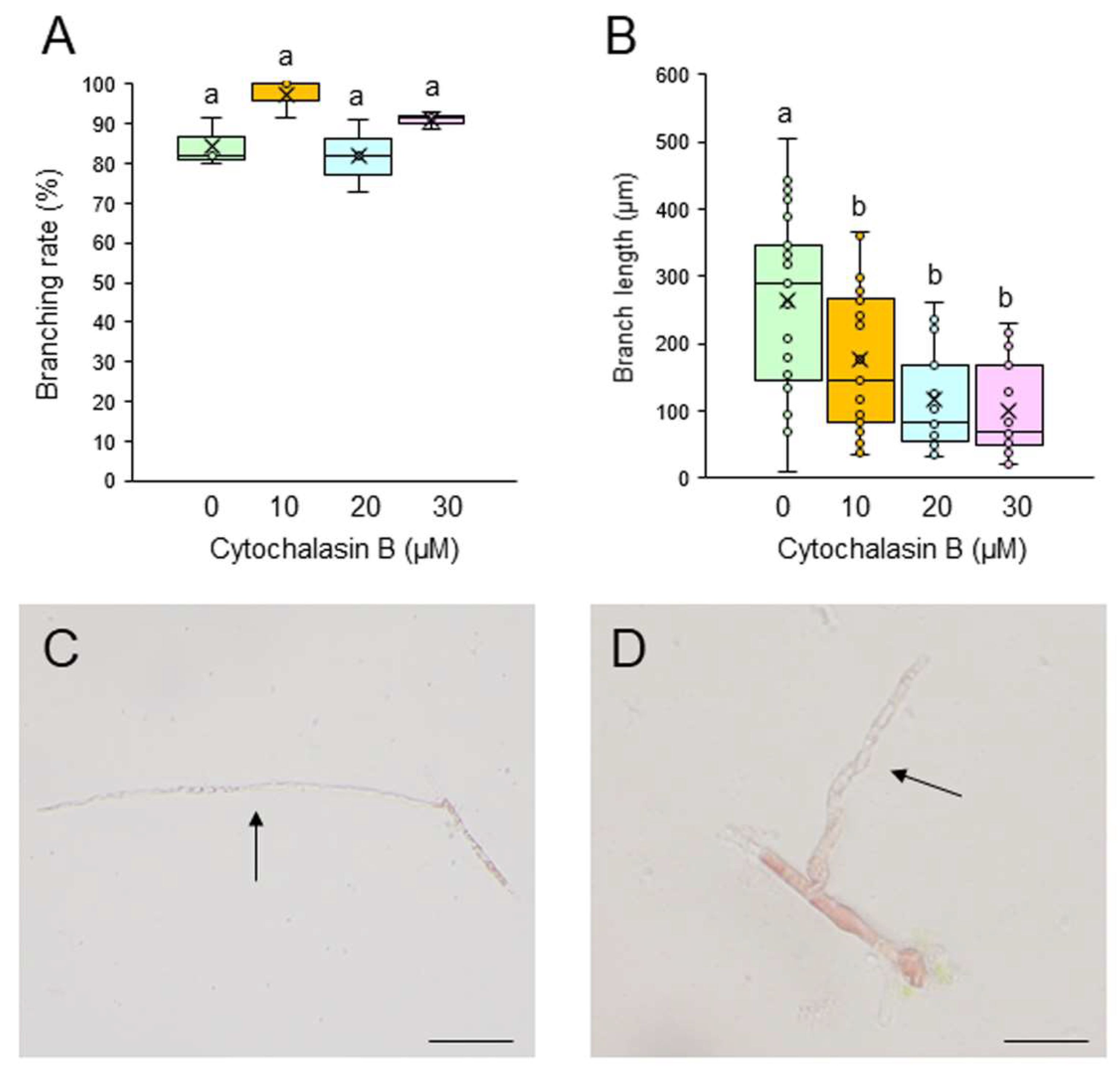 Preprints 155175 g003