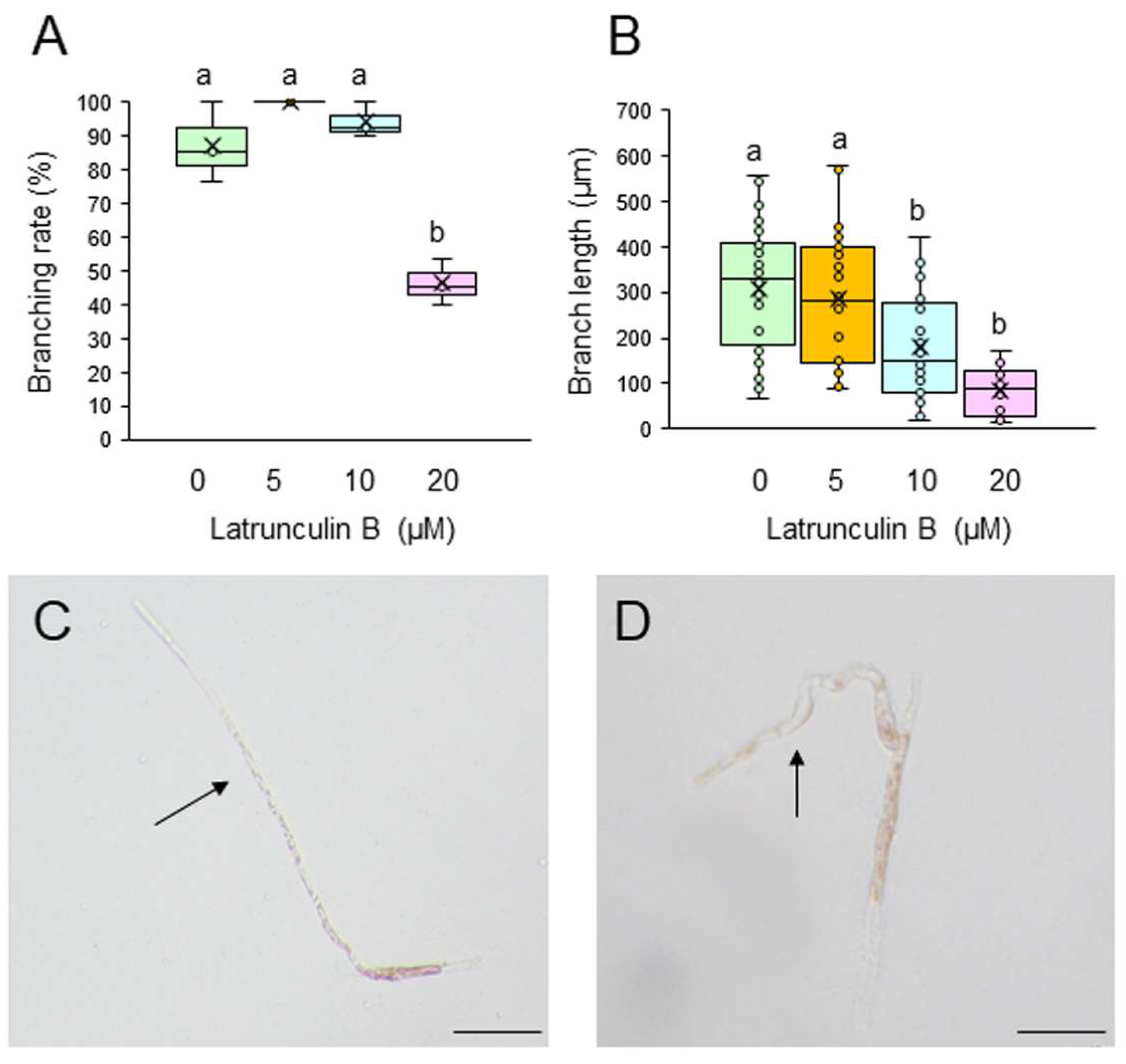 Preprints 155175 g004