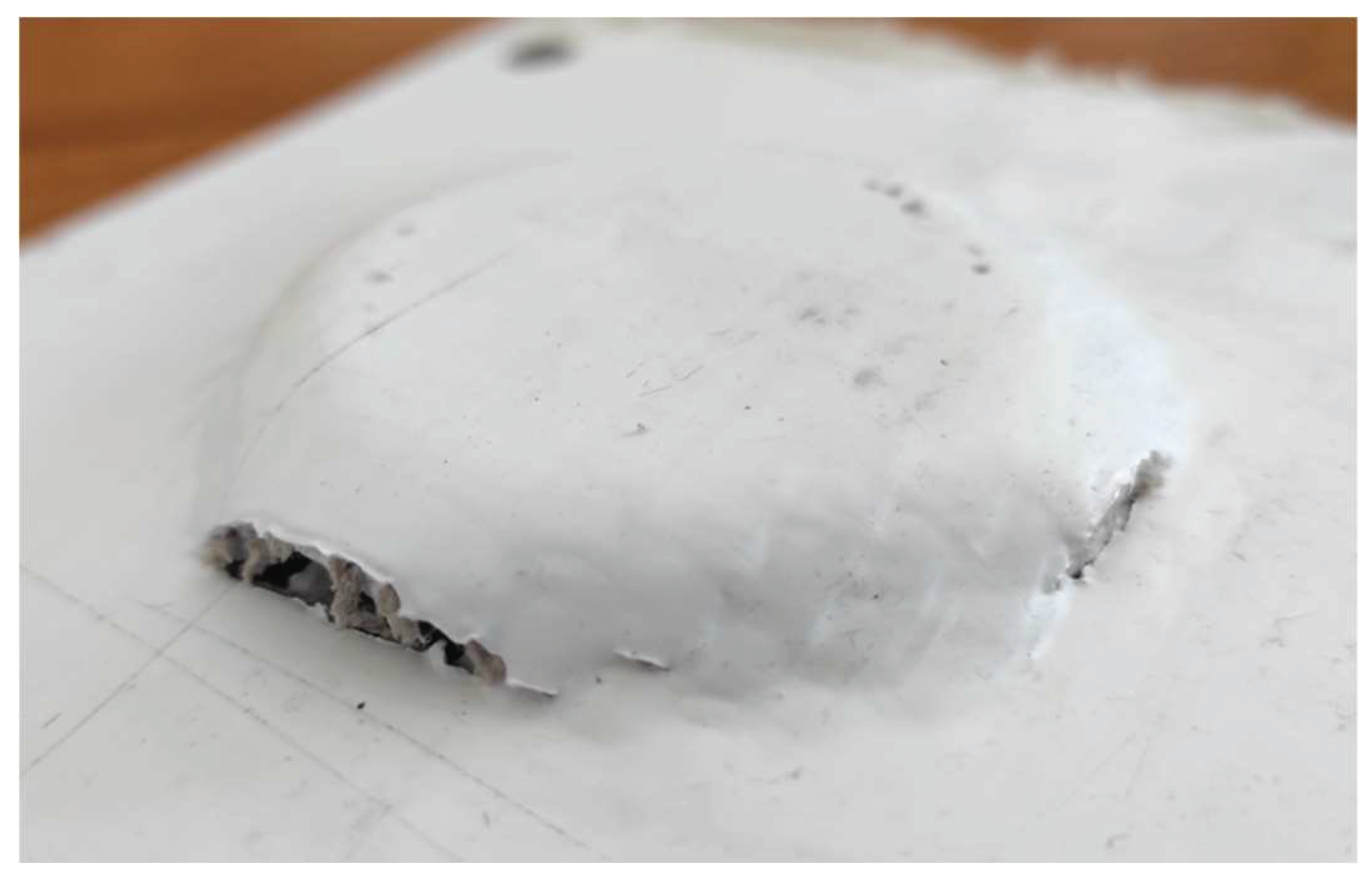 Preprints 160131 g006