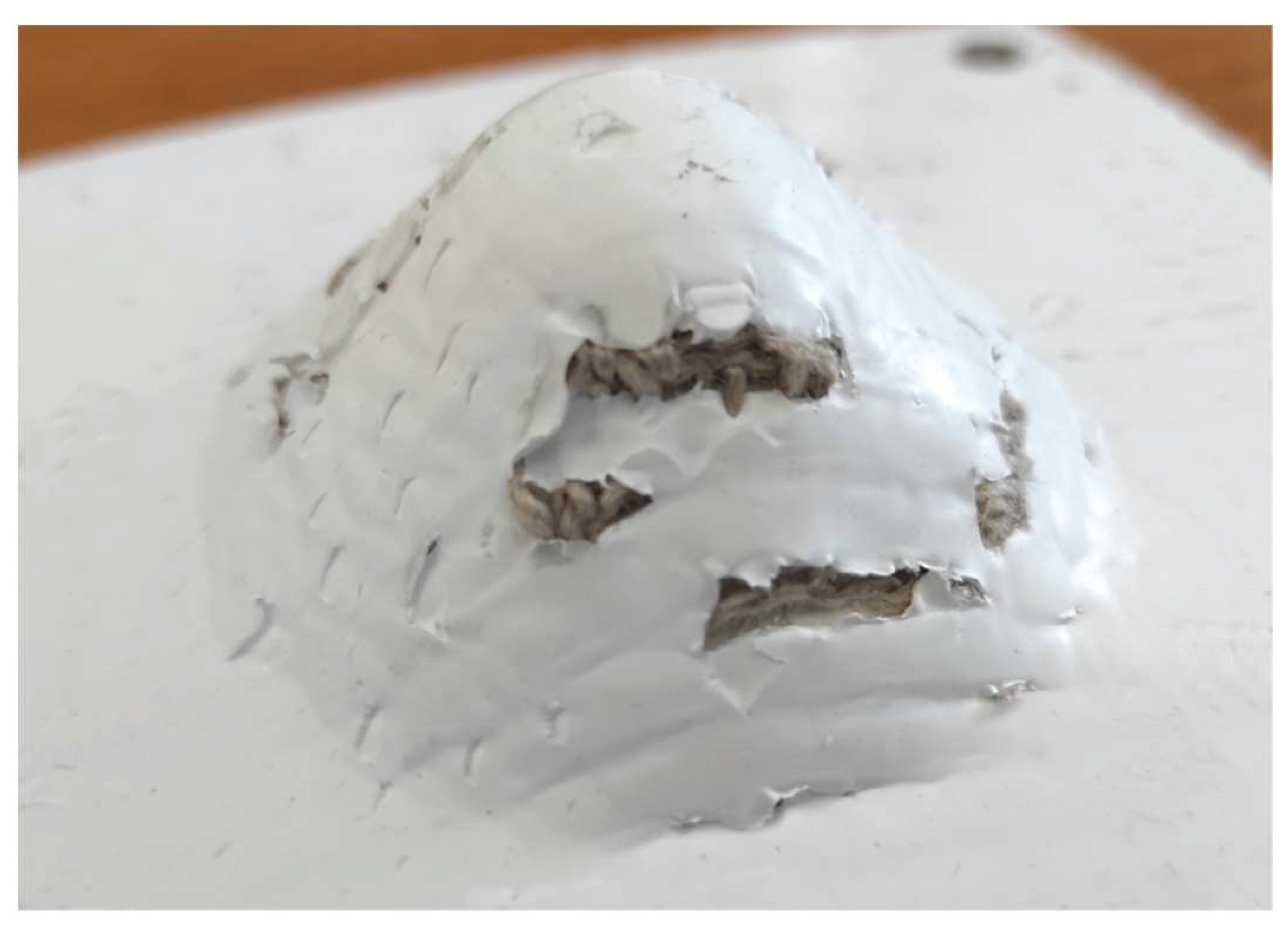 Preprints 160131 g007