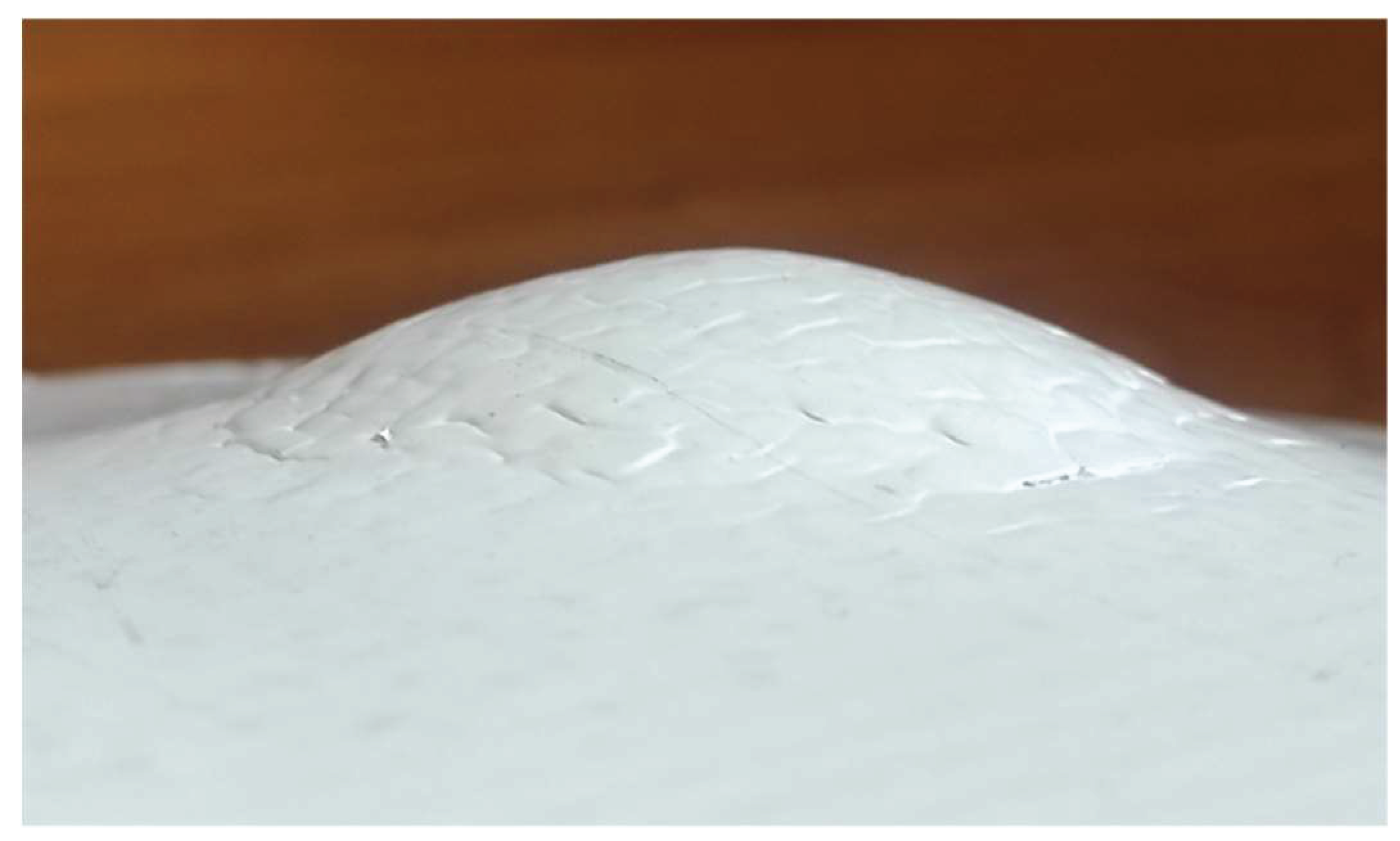 Preprints 160131 g008