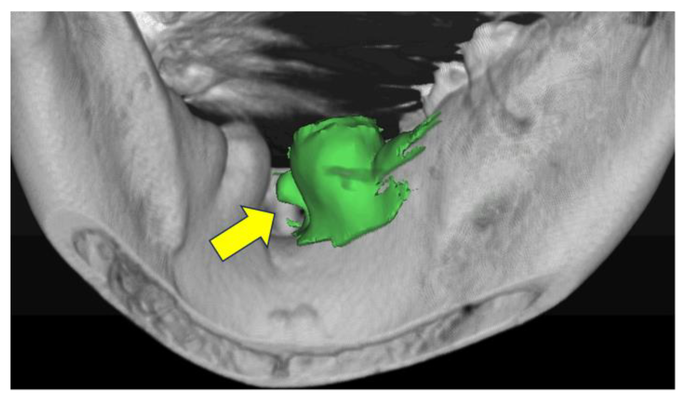 Preprints 146507 g001