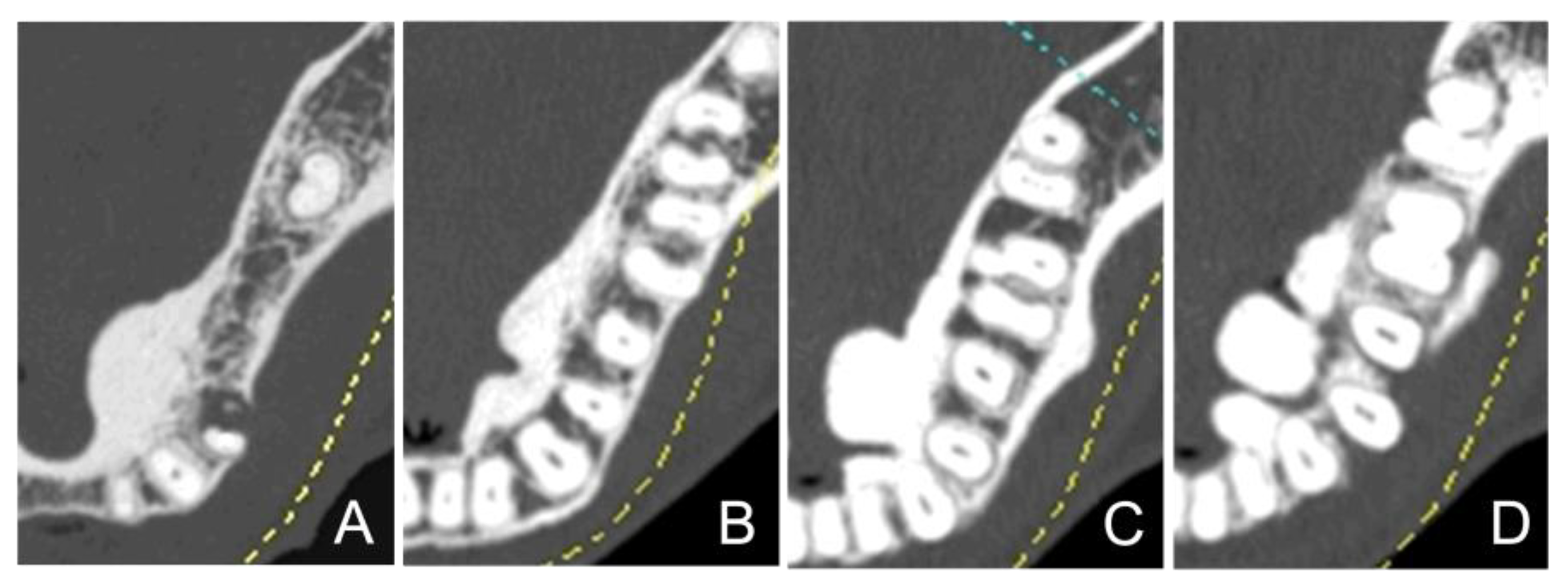 Preprints 146507 g002