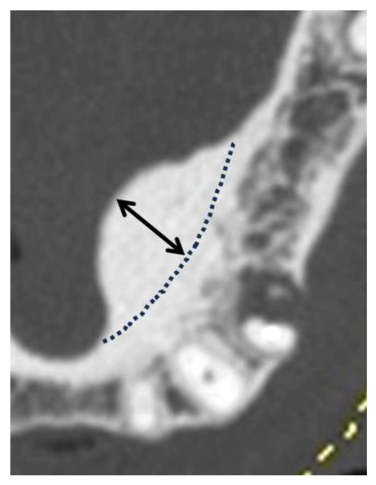 Preprints 146507 g003