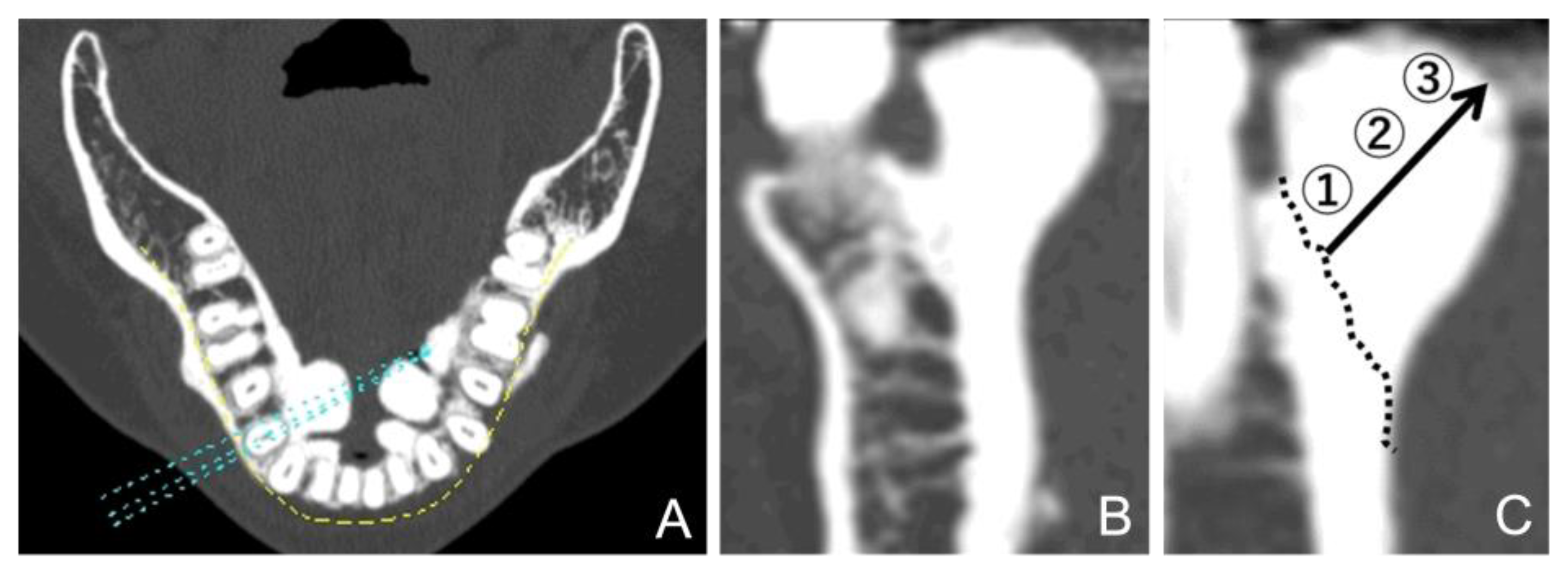 Preprints 146507 g004