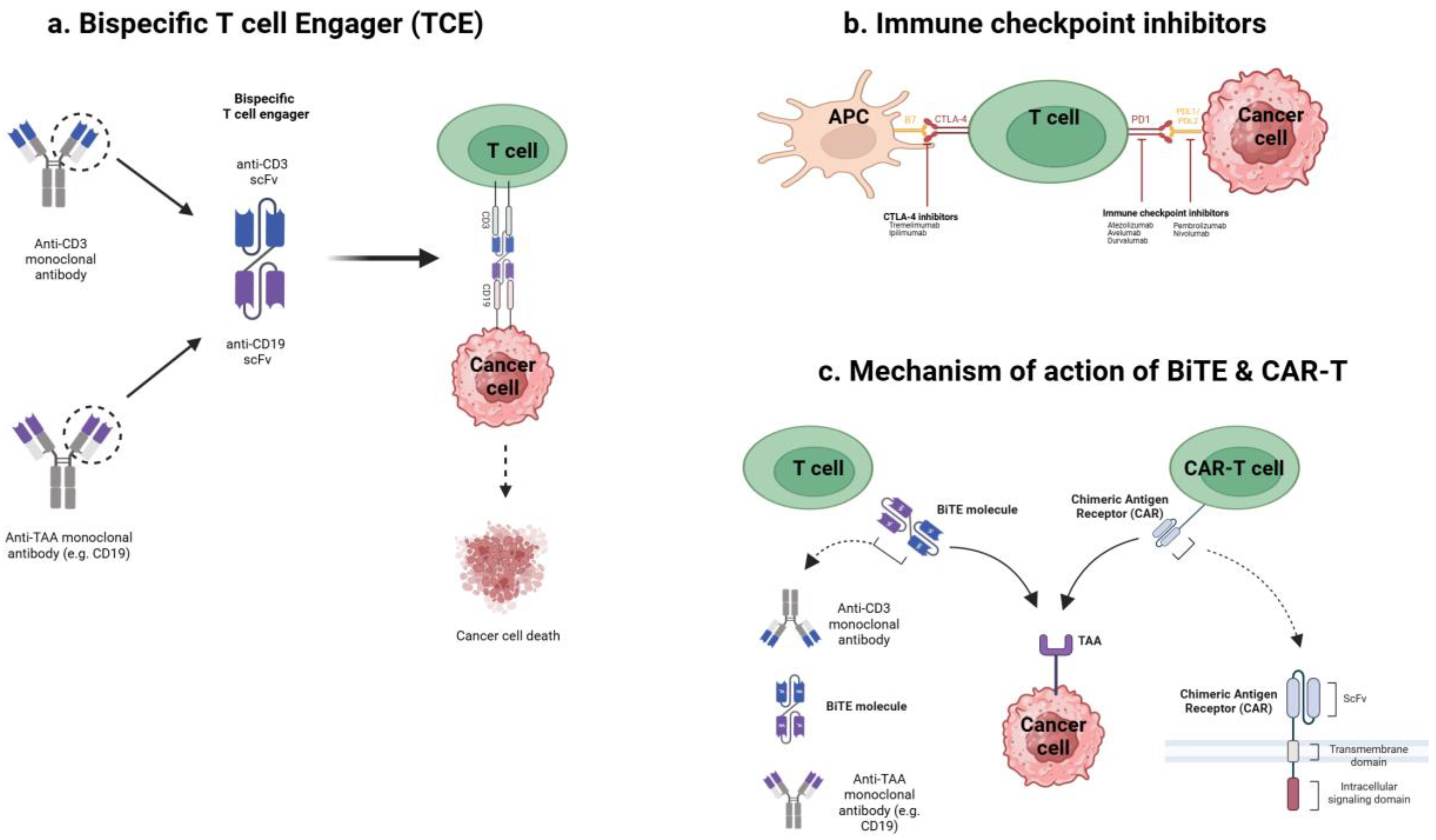 Preprints 159620 g001